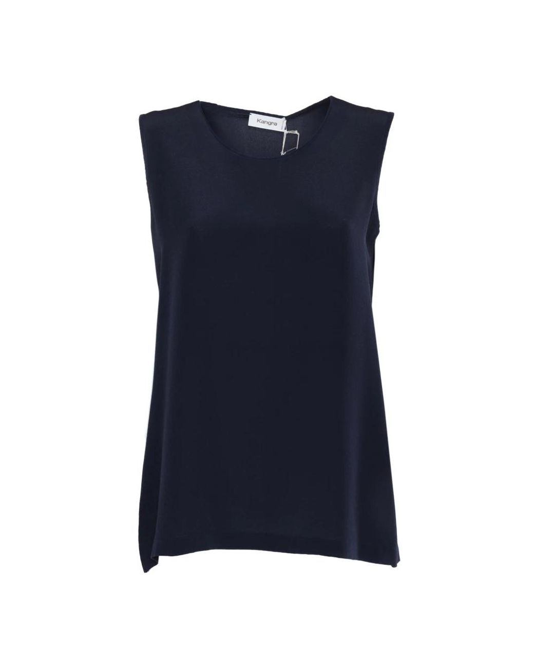 Kangra Blue Sleeveless Tops