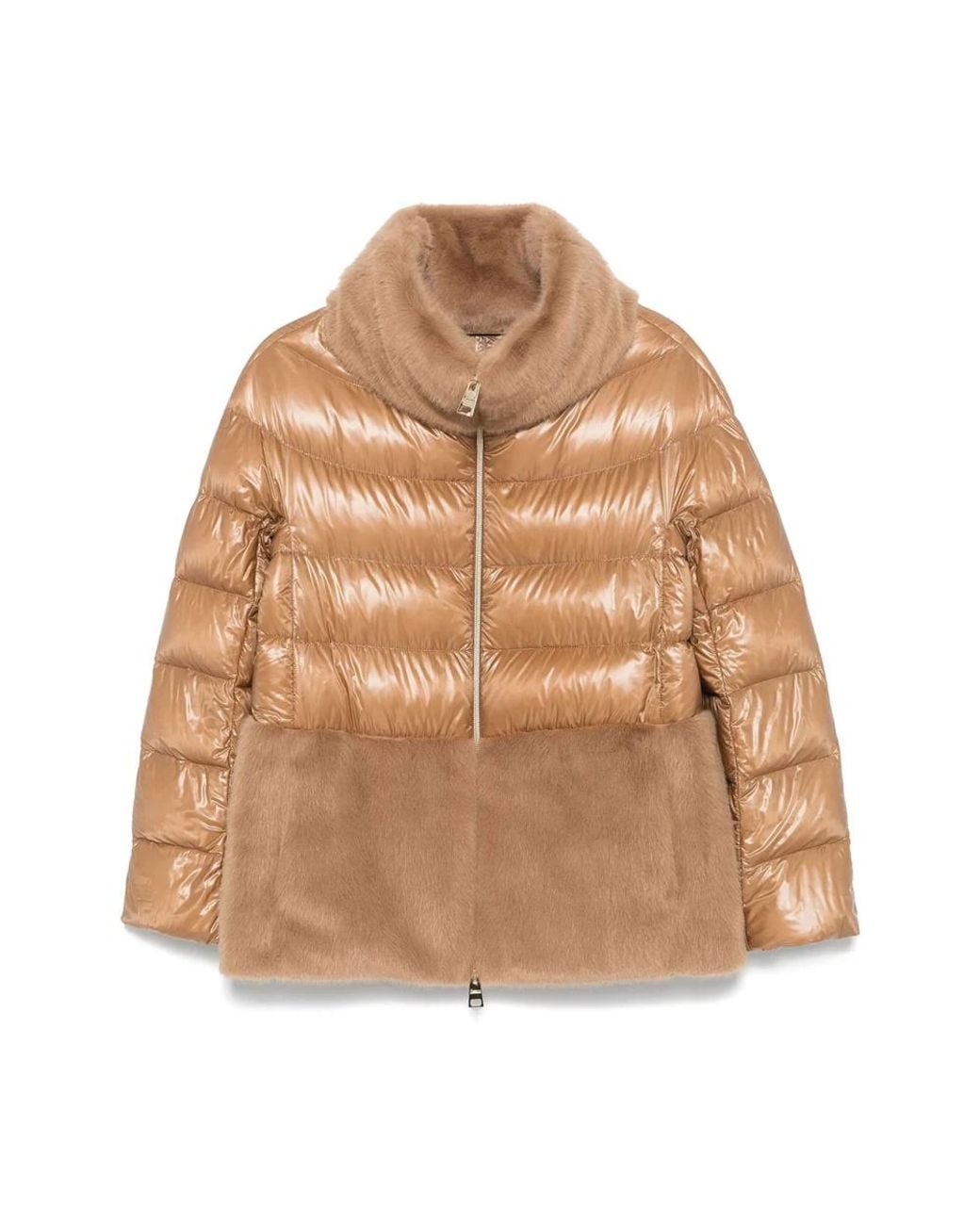 Down Jackets Herno en coloris Brown