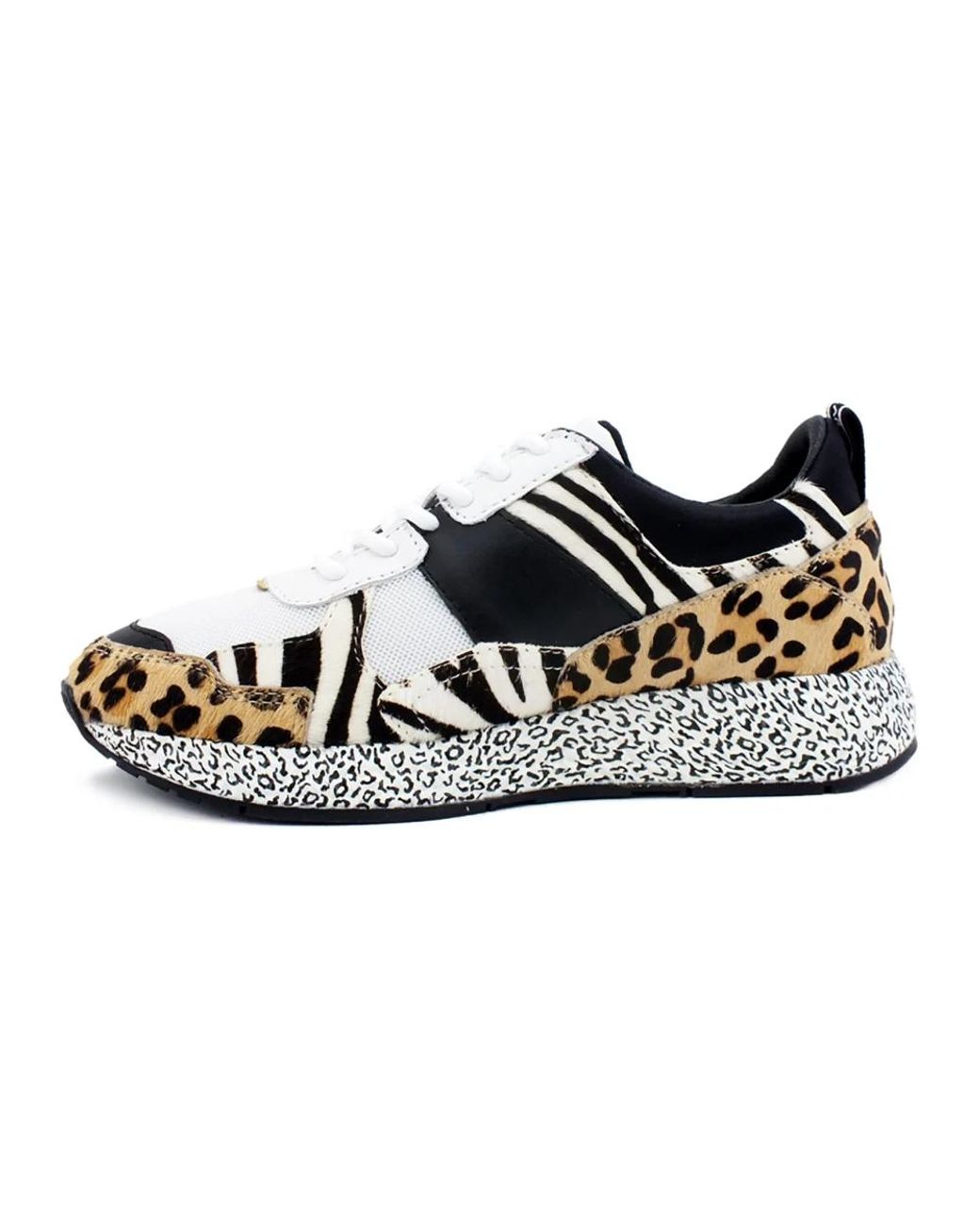 Sneakers MOA en coloris Black