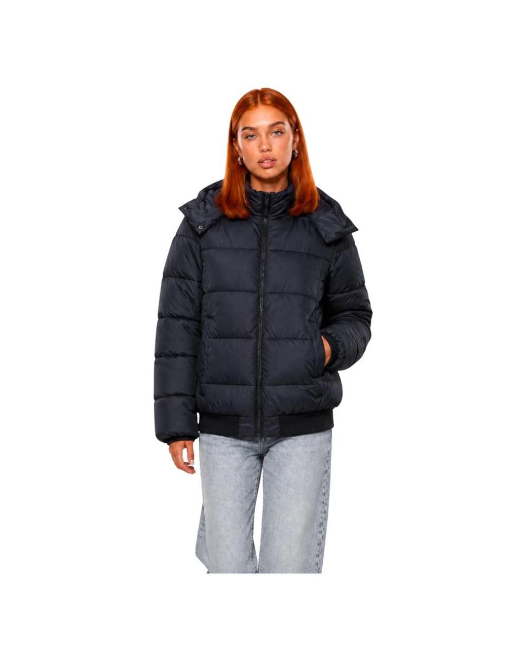 EA7 Blue Winter Jackets