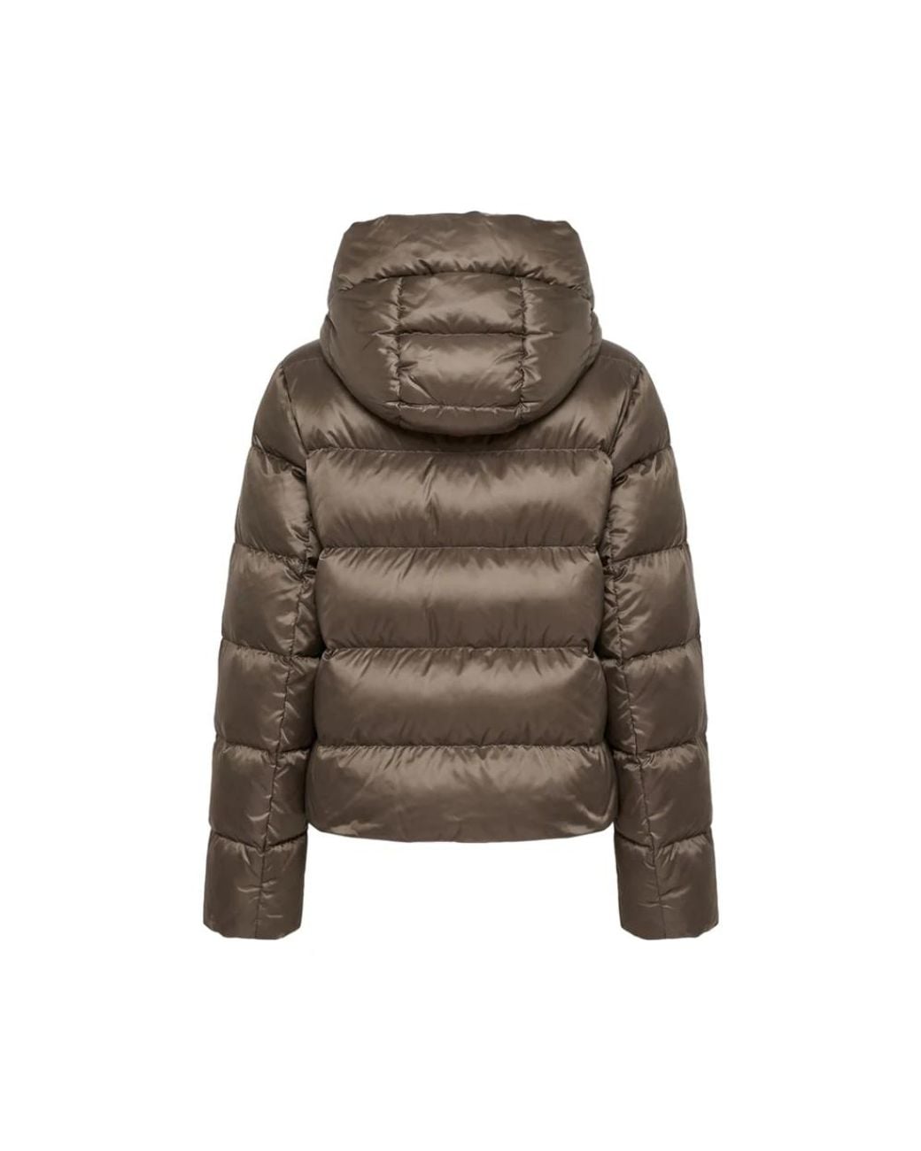 Winter Jackets Max Mara de color Brown