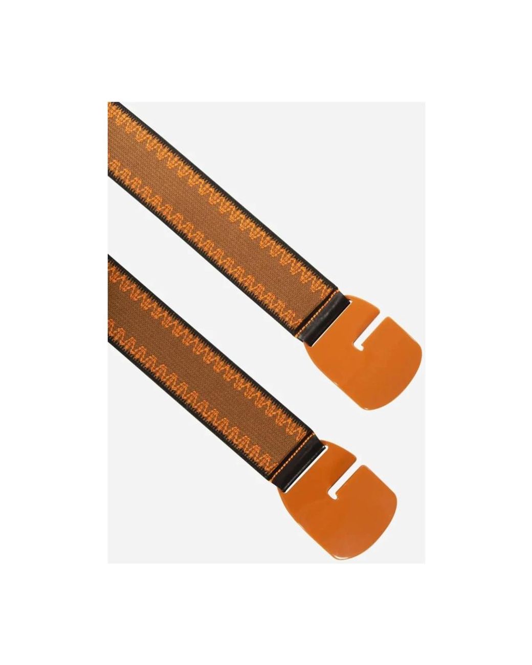 Gavazzeni Brown Belts