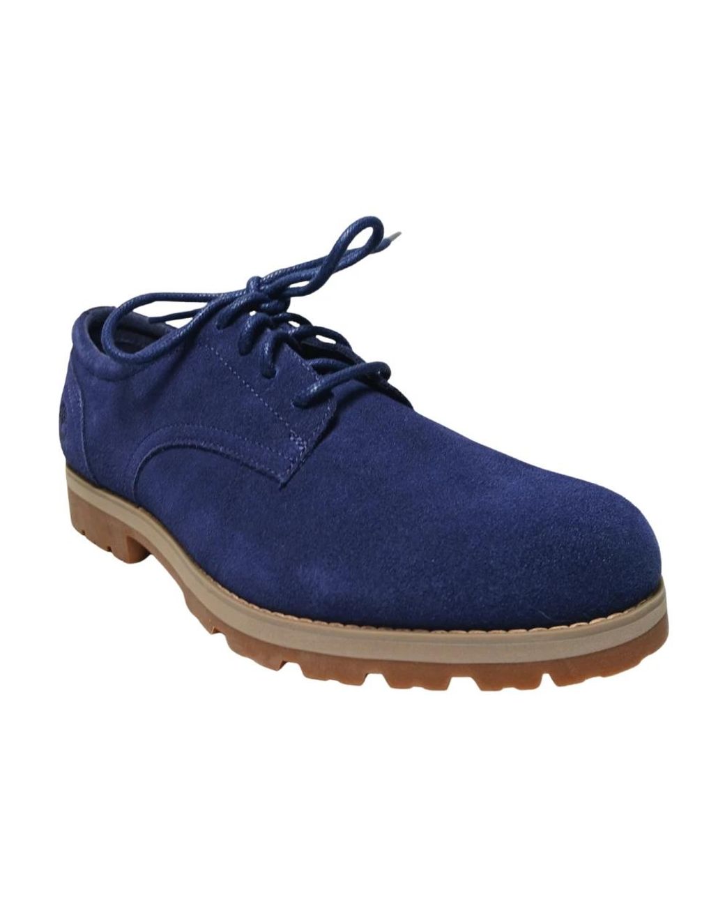 Timberland Blue Laced Shoes for men