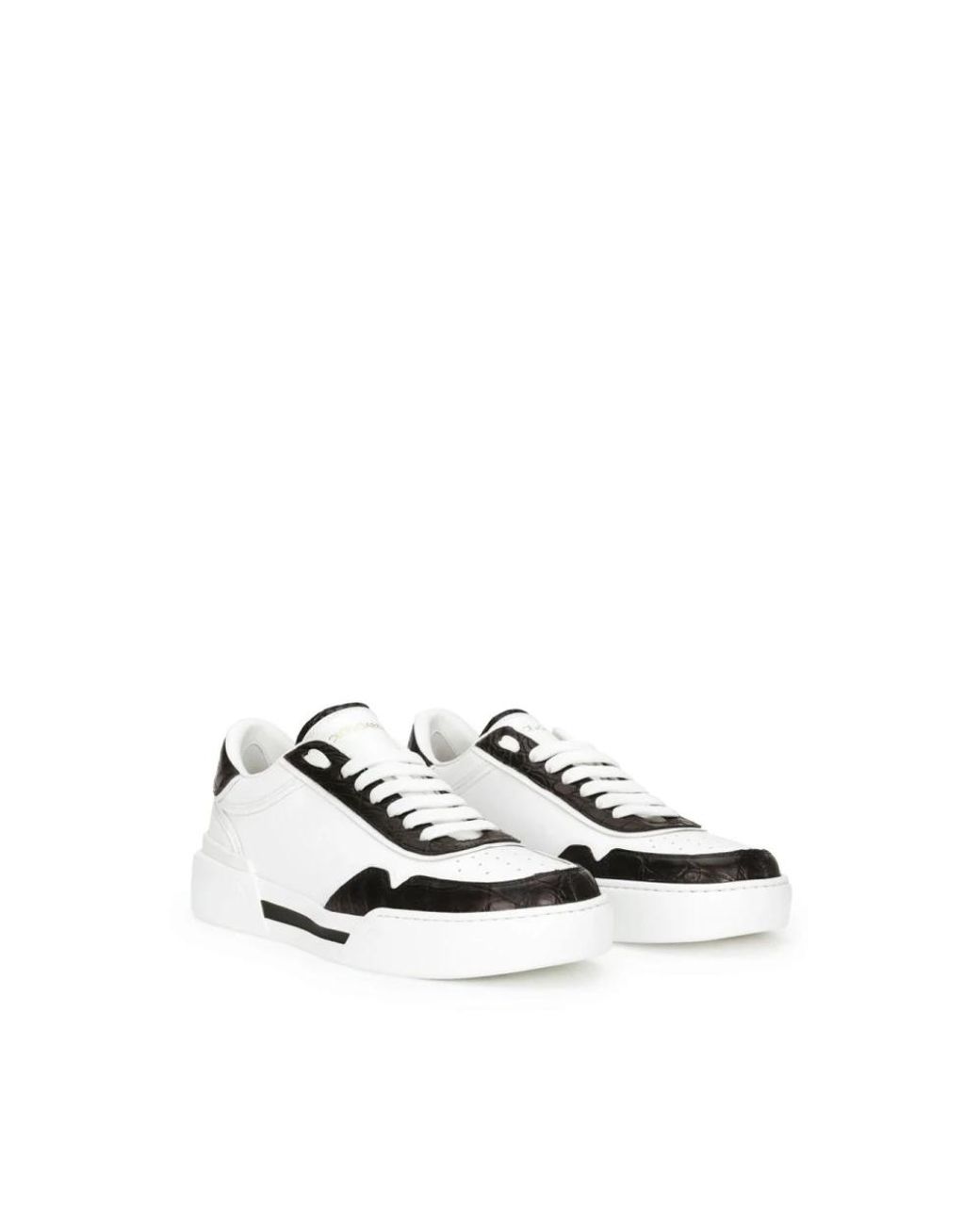 Dolce & Gabbana White New Roma Sneakers for men
