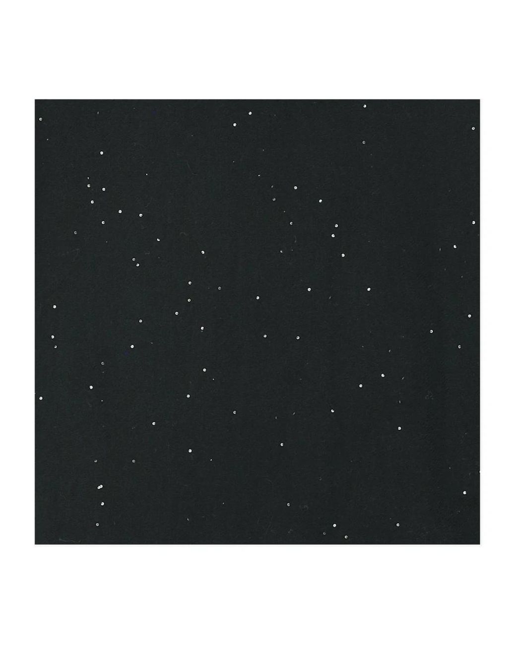 Faliero Sarti Black Winter Scarves