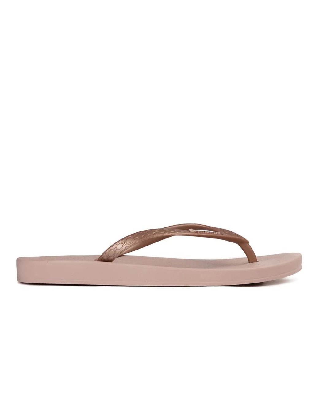 Ipanema Anatomica Flip Flops in het Brown