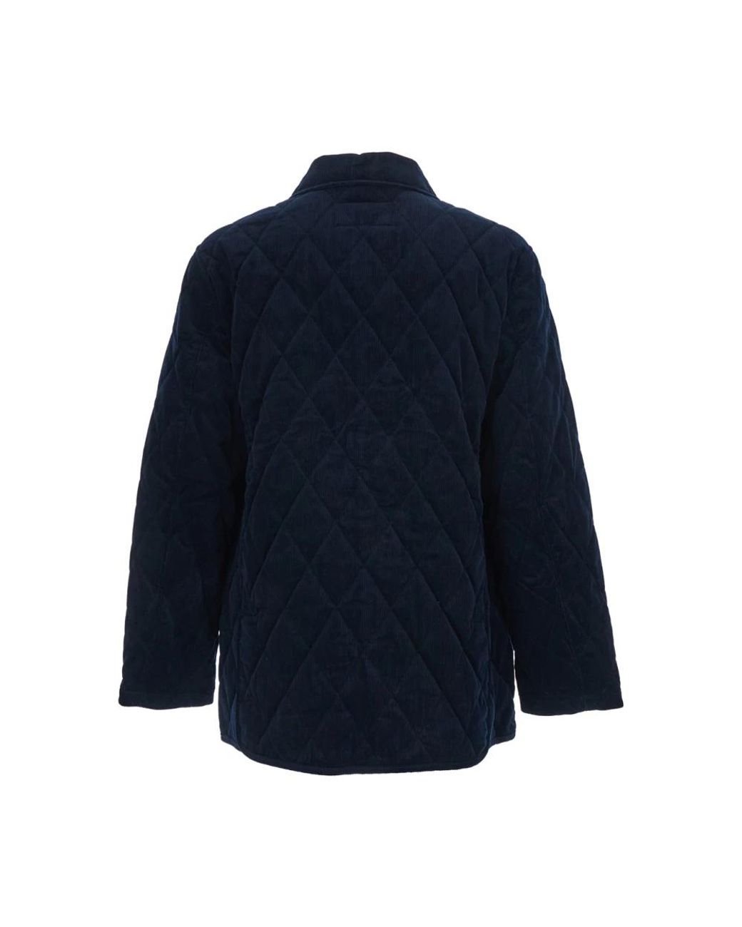 Polo Ralph Lauren Blue Winter Jackets for men