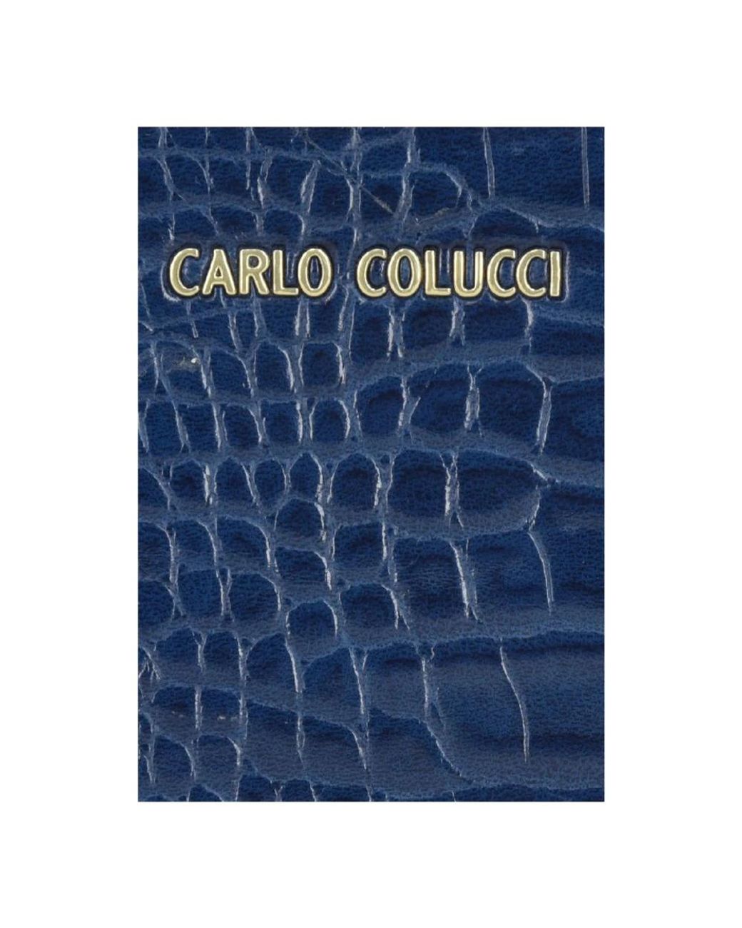 Wallets & Cardholders di carlo colucci in Blue
