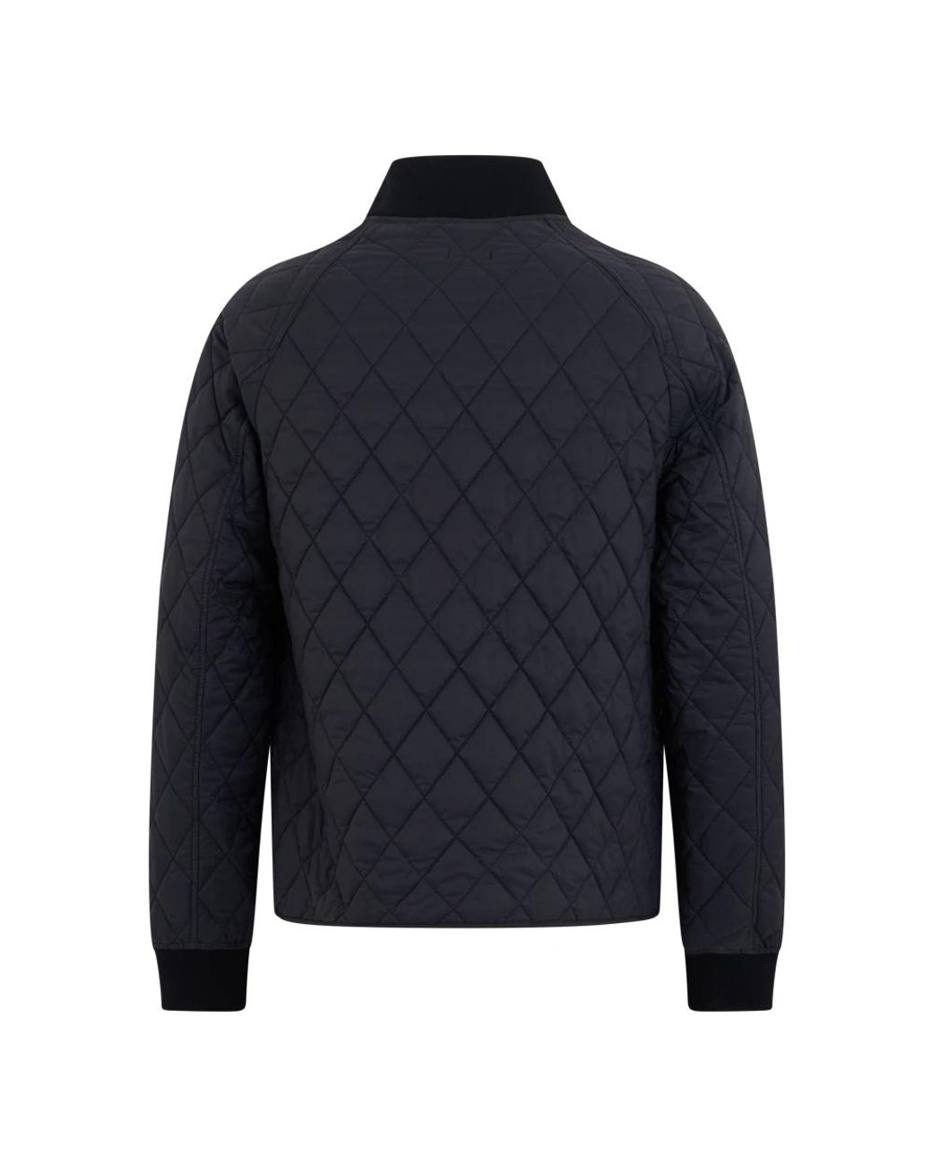 Burberry Blue Winter Jackets for men