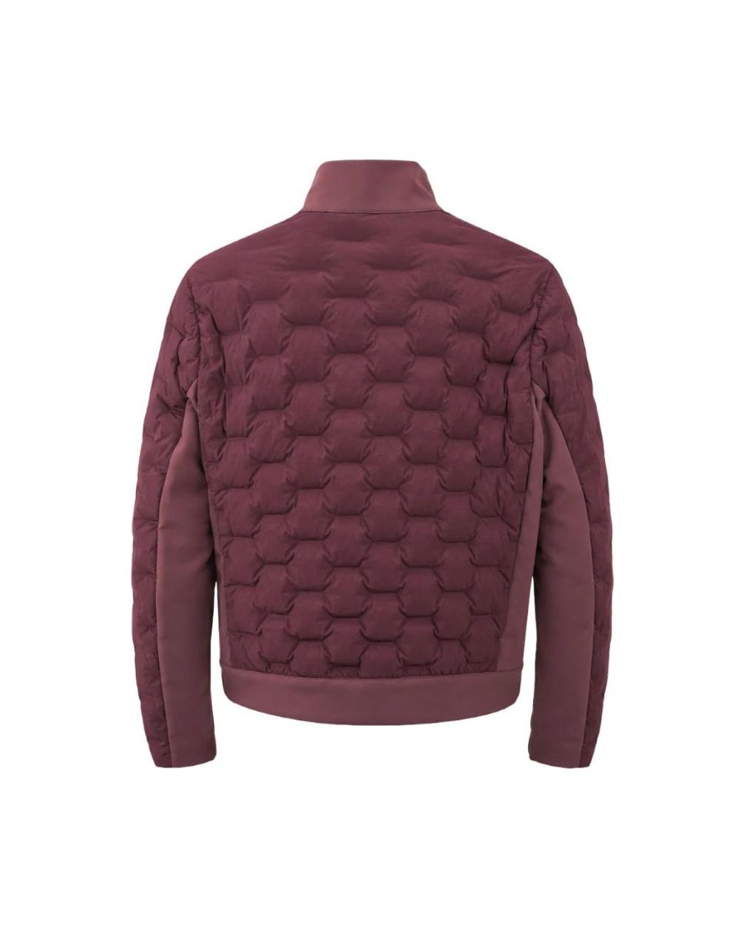 Parajumpers Purple Winter Jackets