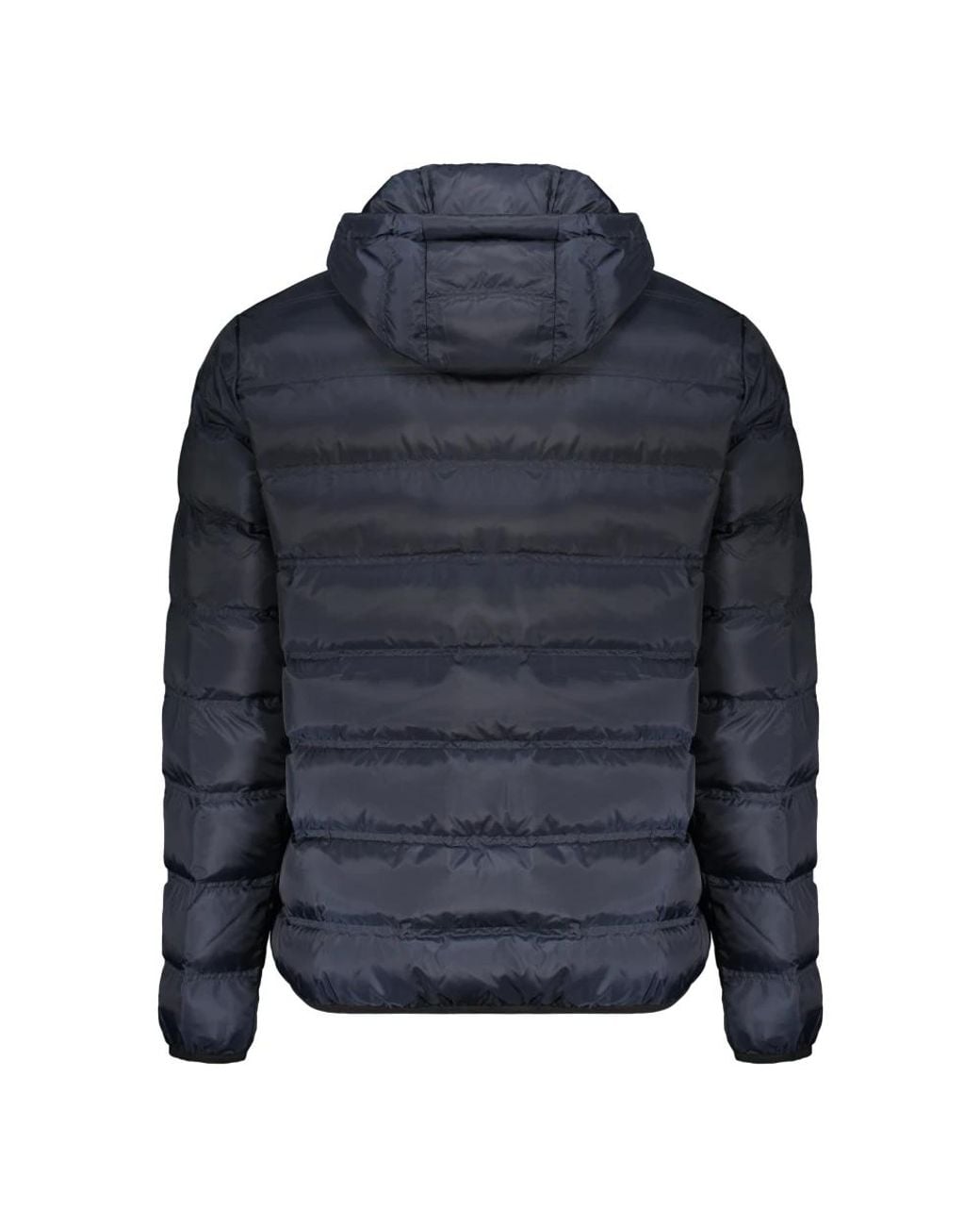 EA7 Blue Winter Jackets for men