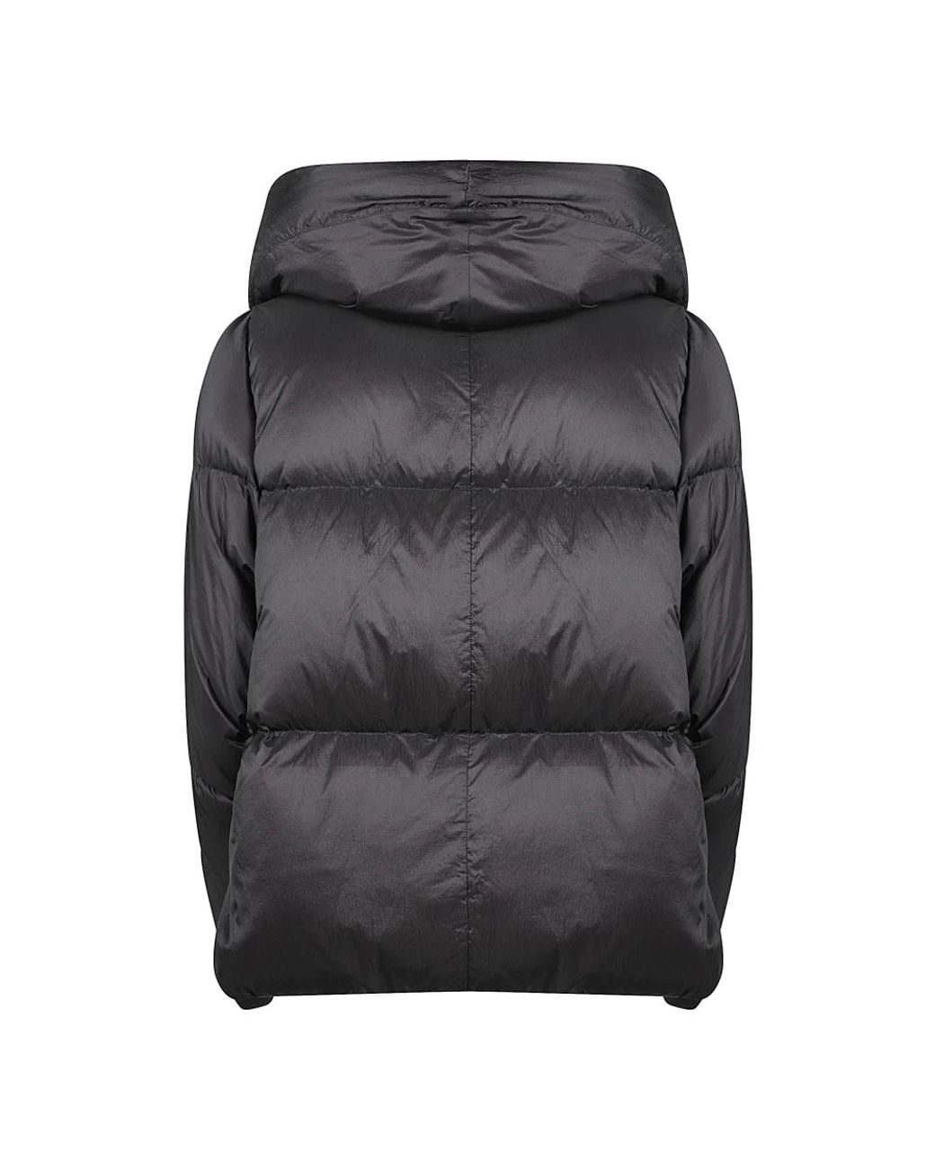 Winter Jackets Add de color Black