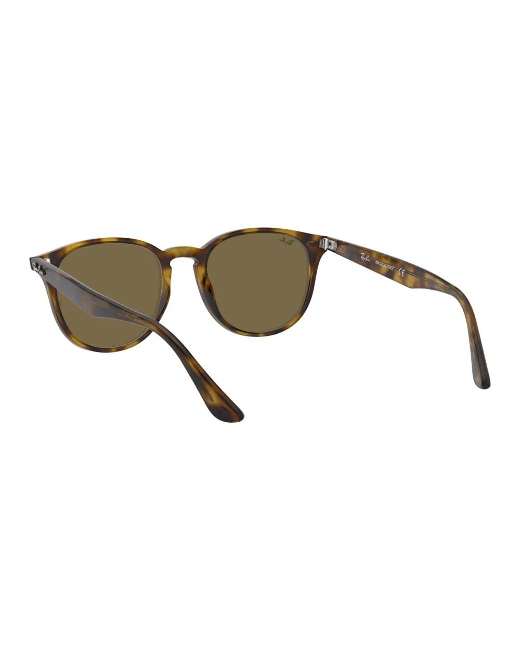 Ray-Ban Brown Sunglasses