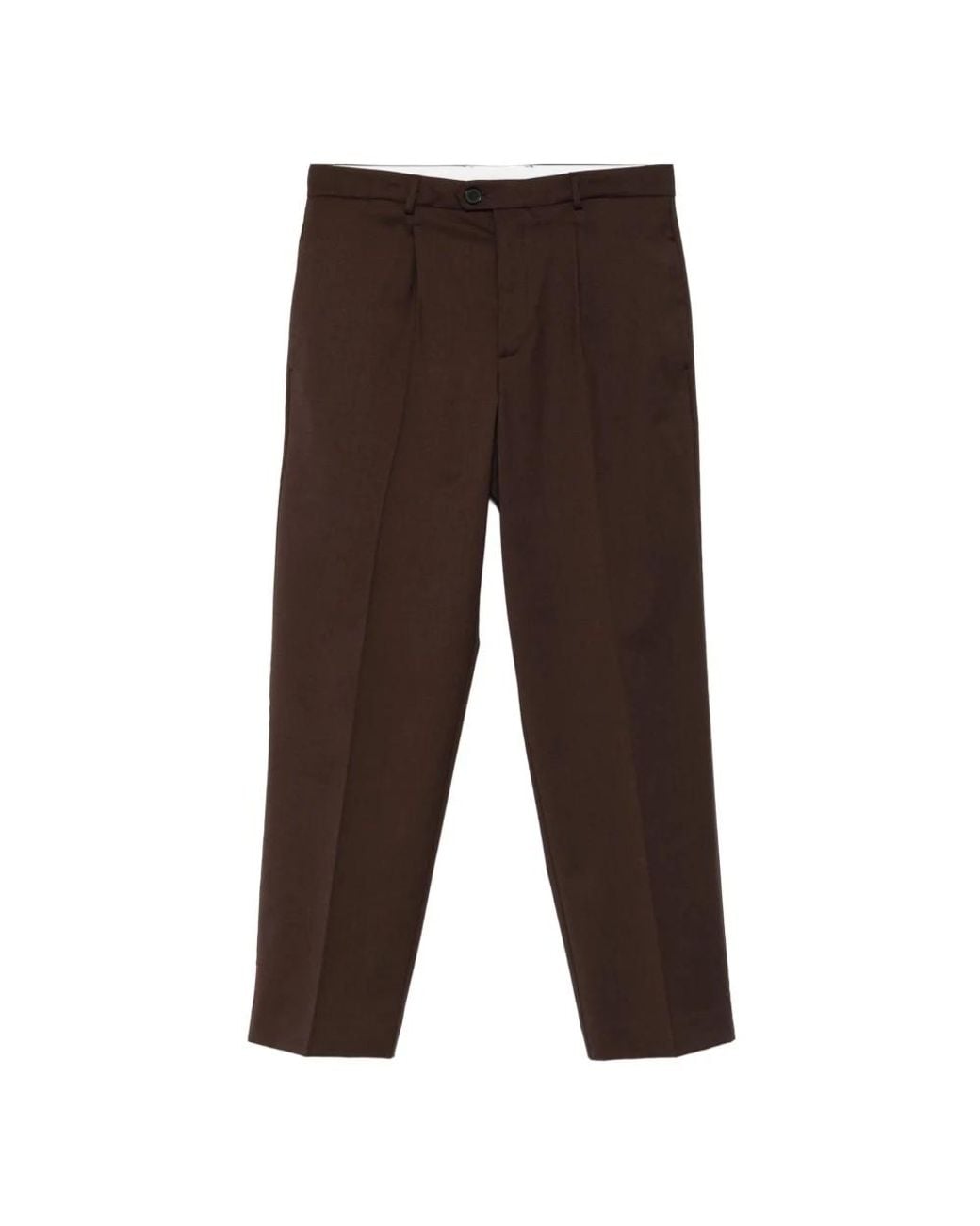 Amaranto Brown Straight Trousers for men