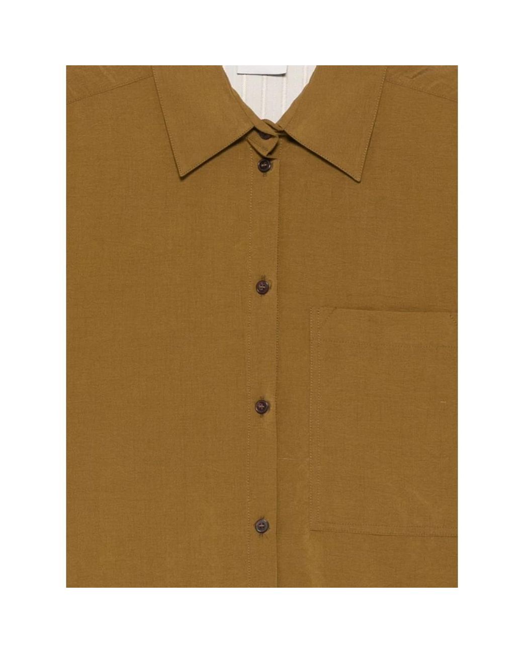 Alysi Brown Shirts