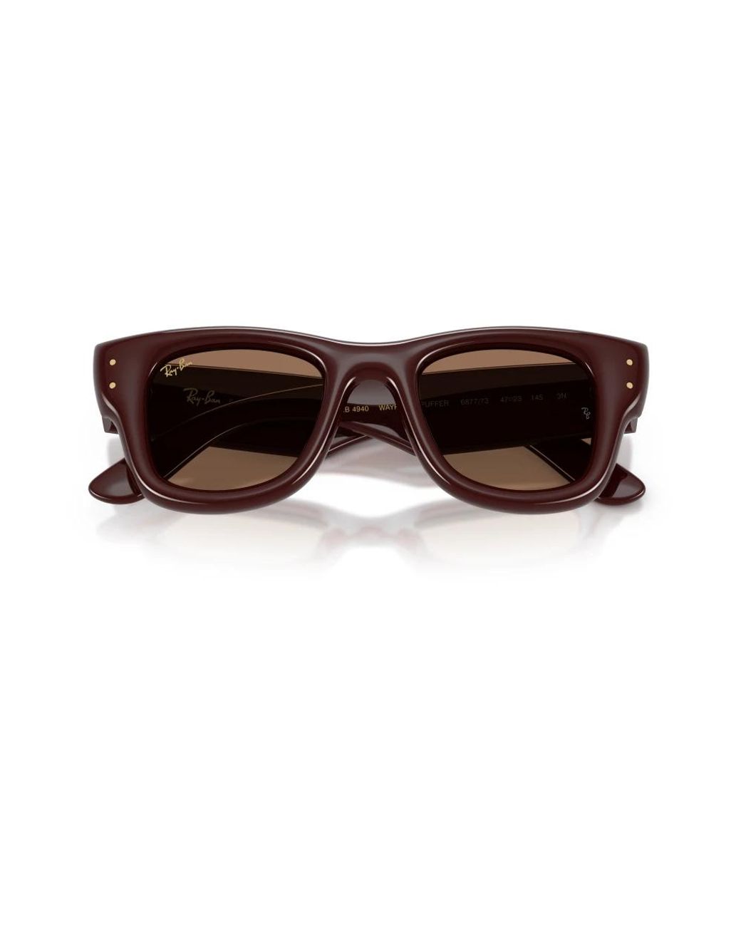 Ray-Ban Brown Sunglasses