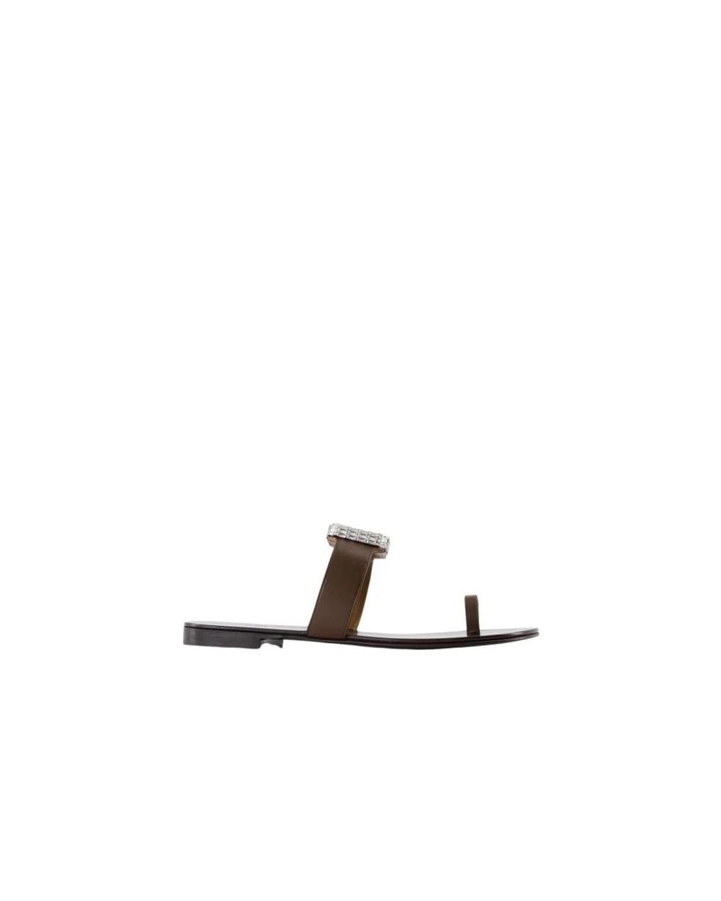 Giuseppe Zanotti Brown Flip Flops