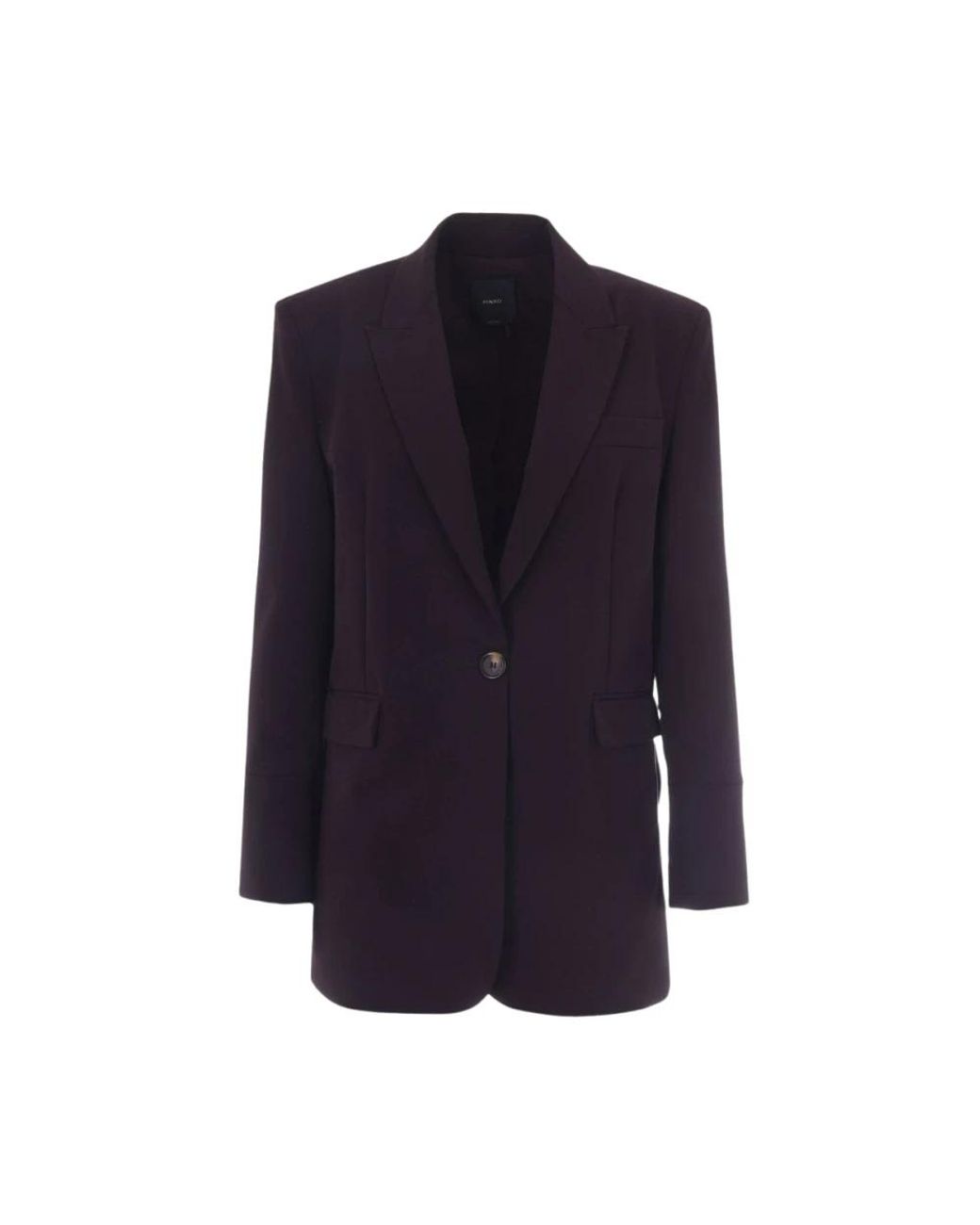 Pinko Blue Blazers