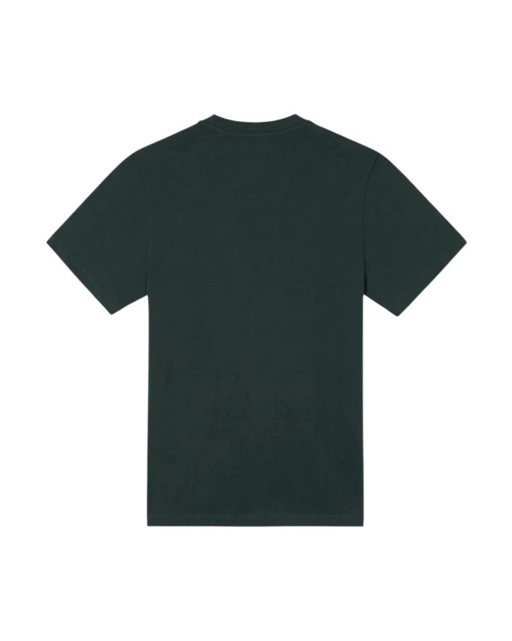 Silbon Green T-Shirts for men
