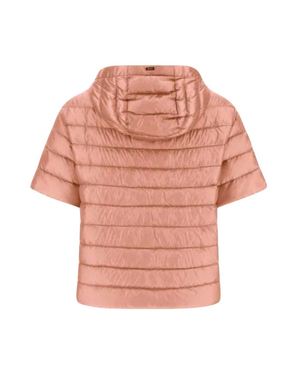 Winter Jackets Herno de color Pink