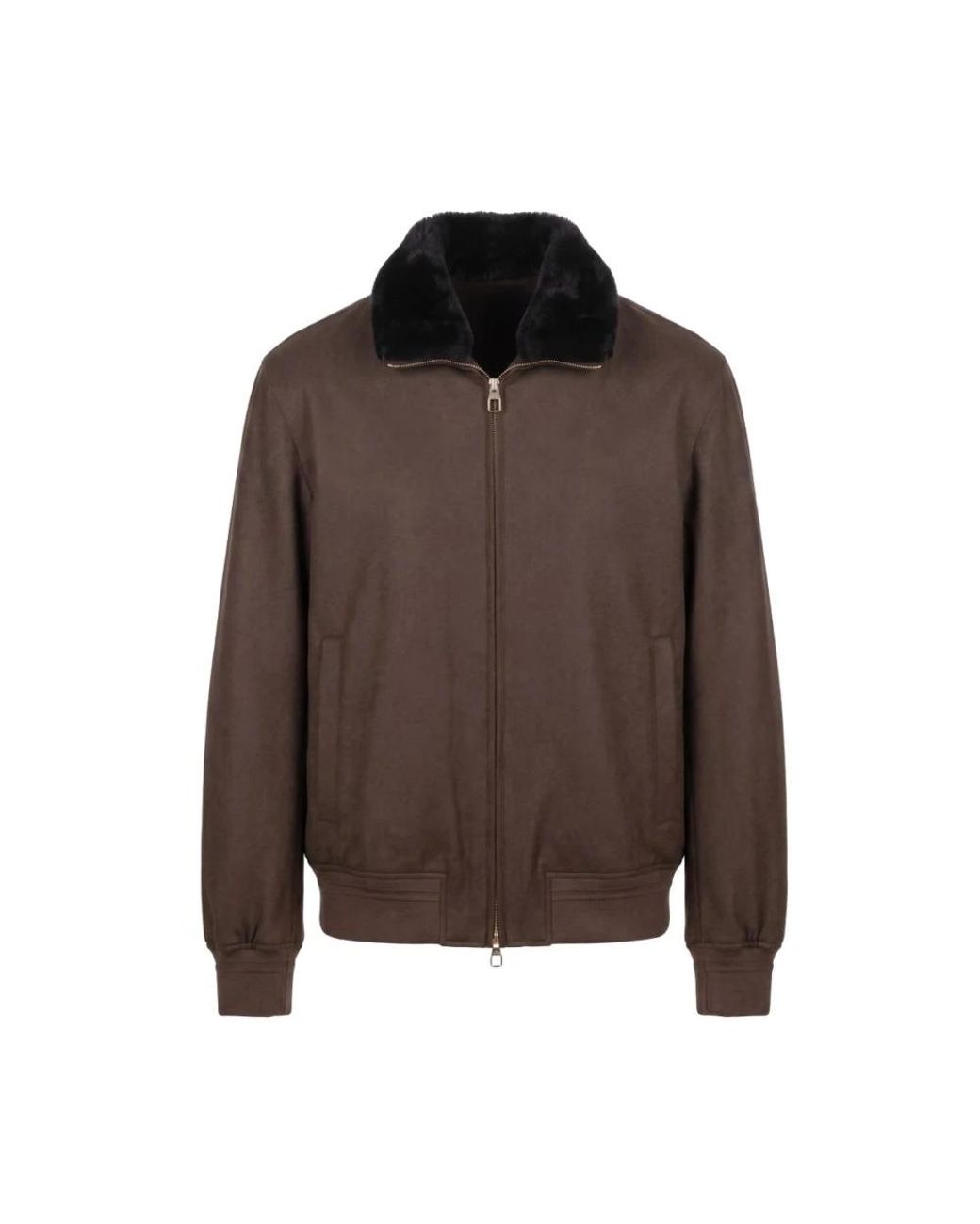 Winter Jackets Montecore pour homme en coloris Brown