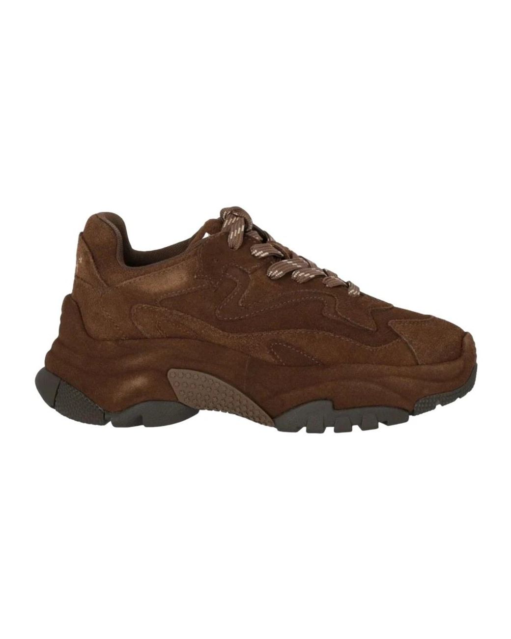 Sneakers Ash en coloris Brown