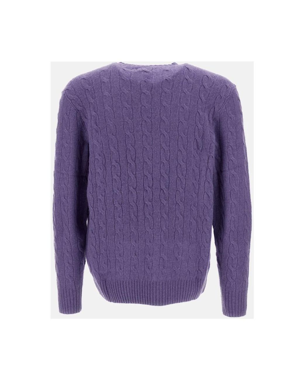 Polo Ralph Lauren Purple Round-Neck Knitwear for men