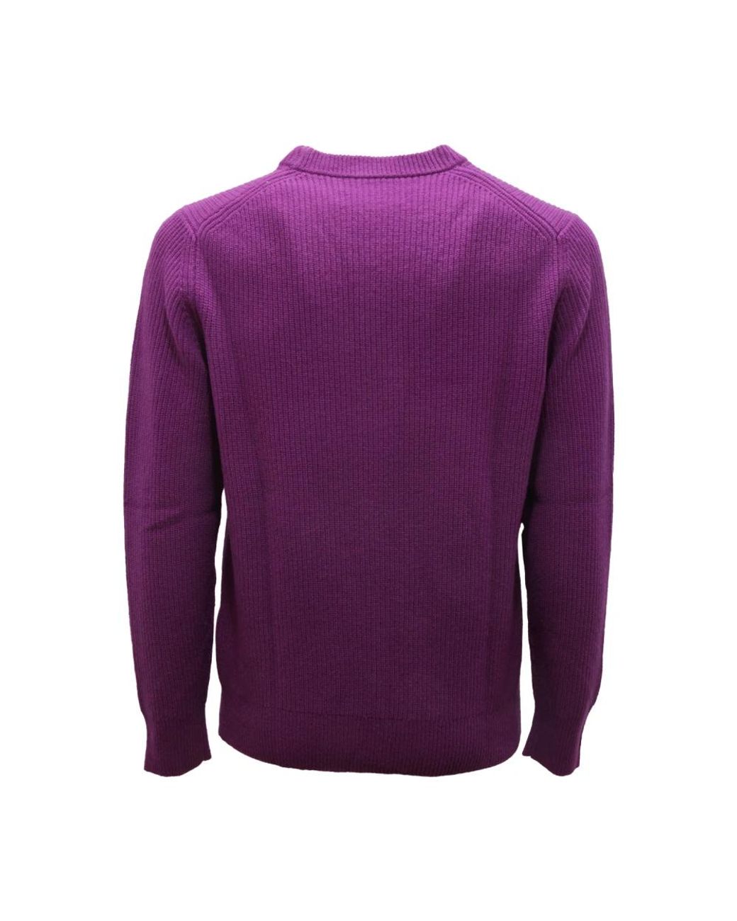 Ballantyne Purple Round-Neck Knitwear for men
