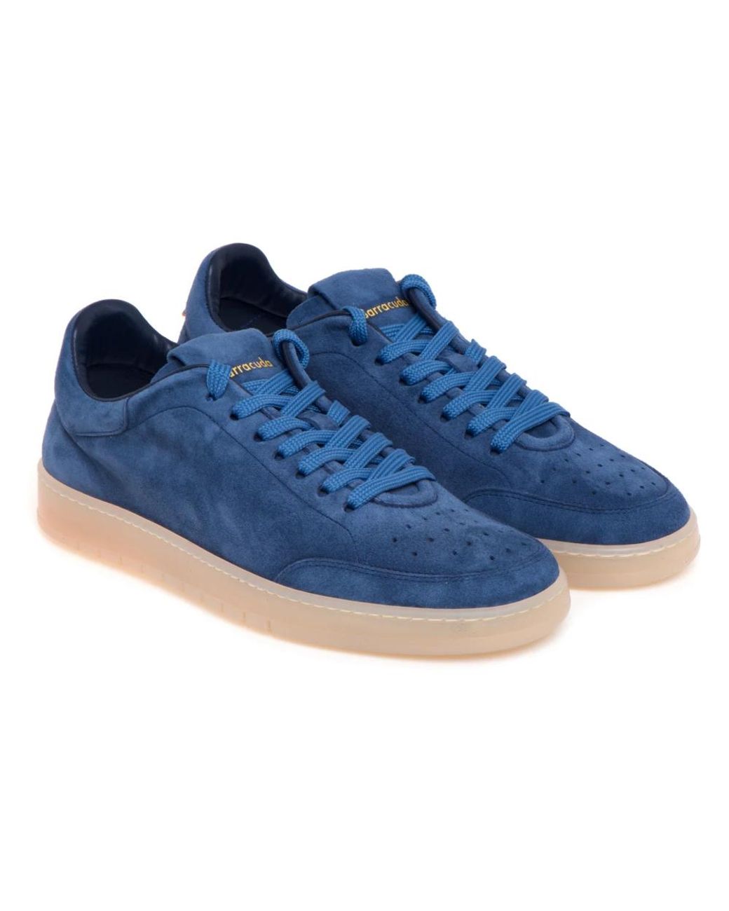 Barracuda Blue Sneakers for men