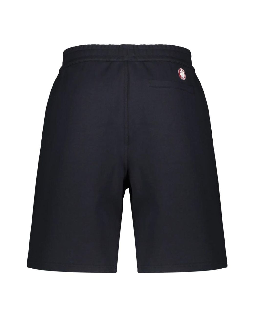 EA7 Blue Casual Shorts for men