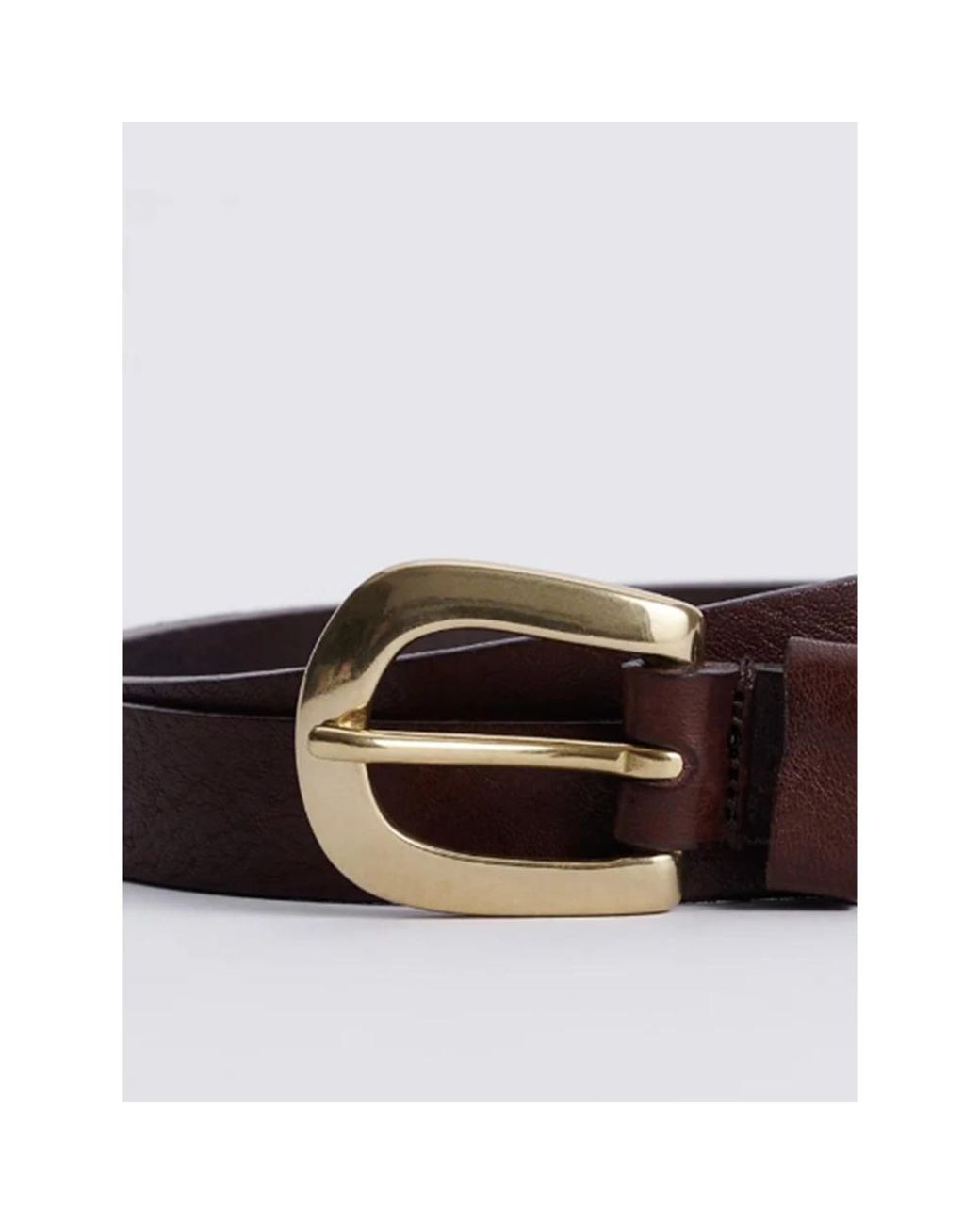 sunflower Brown Belts for men