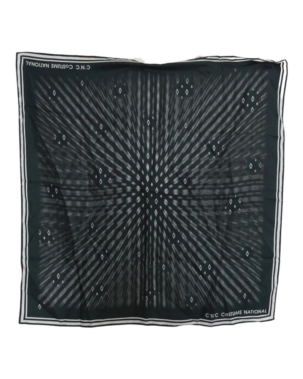 CoSTUME NATIONAL Black Silky Scarves