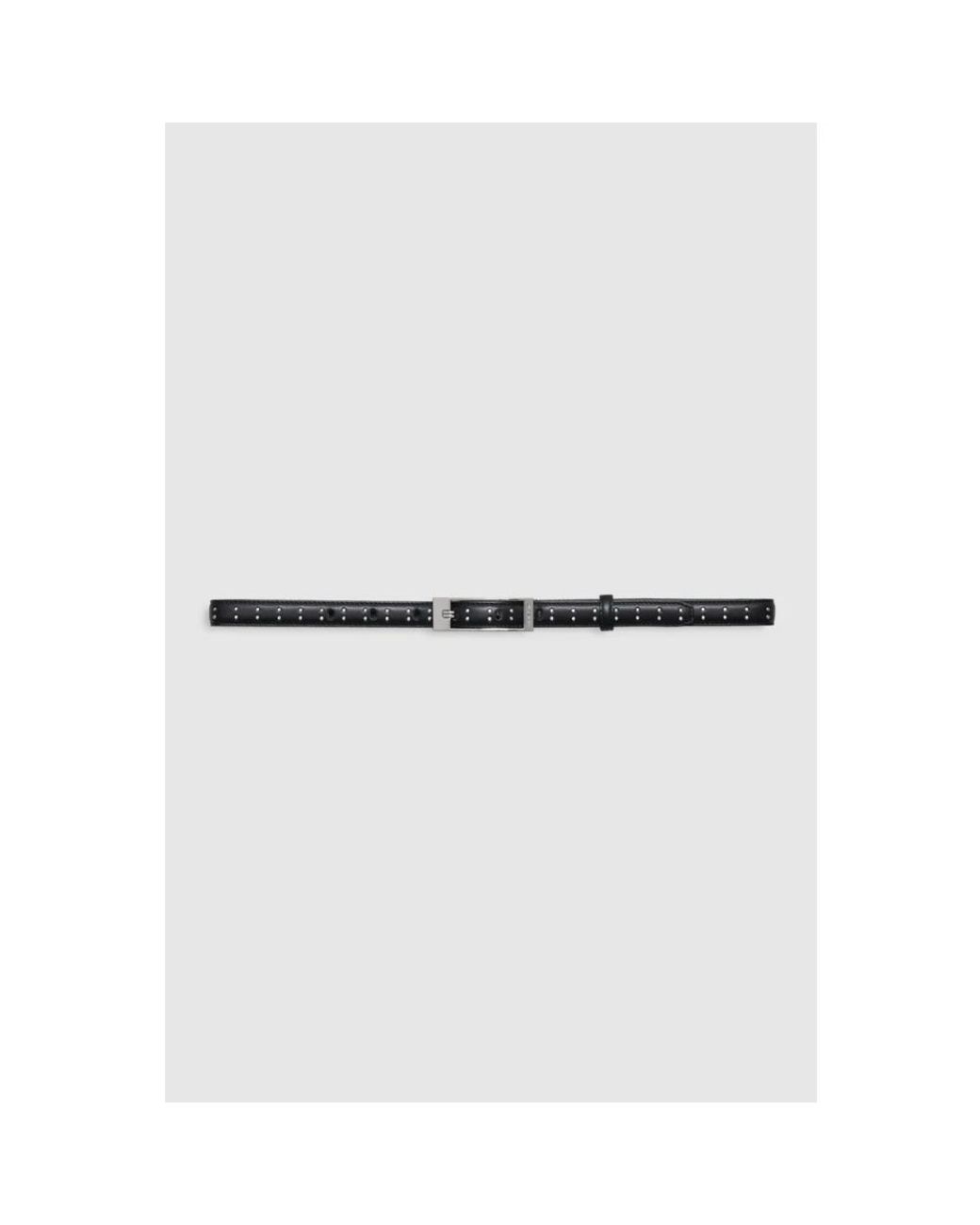 Anine Bing Black Belts