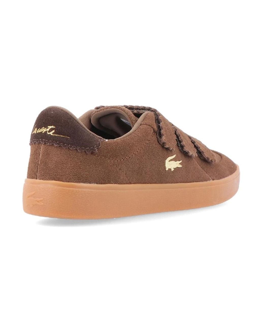 Lacoste Brown Sneakers