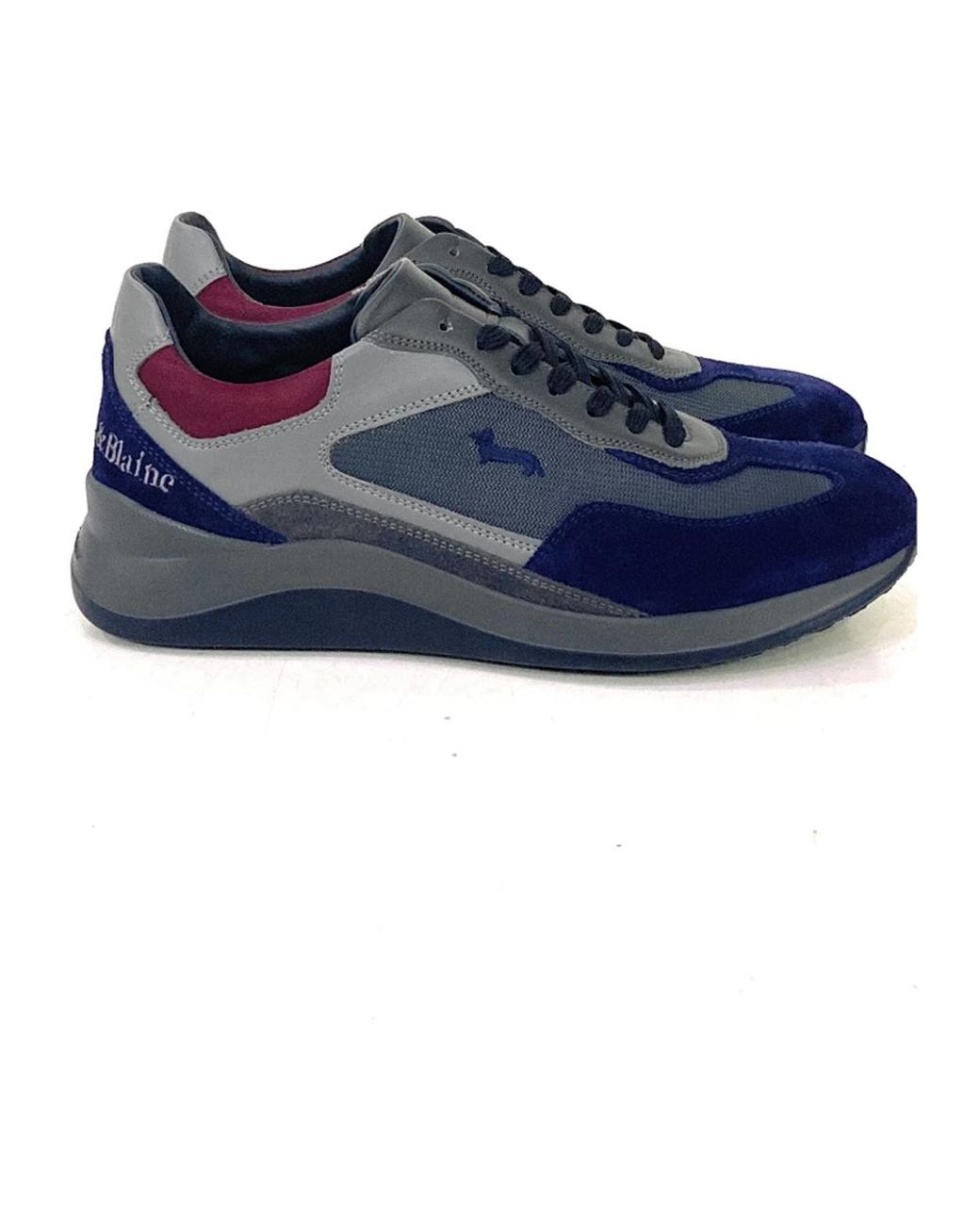 Scarpa multicolor store