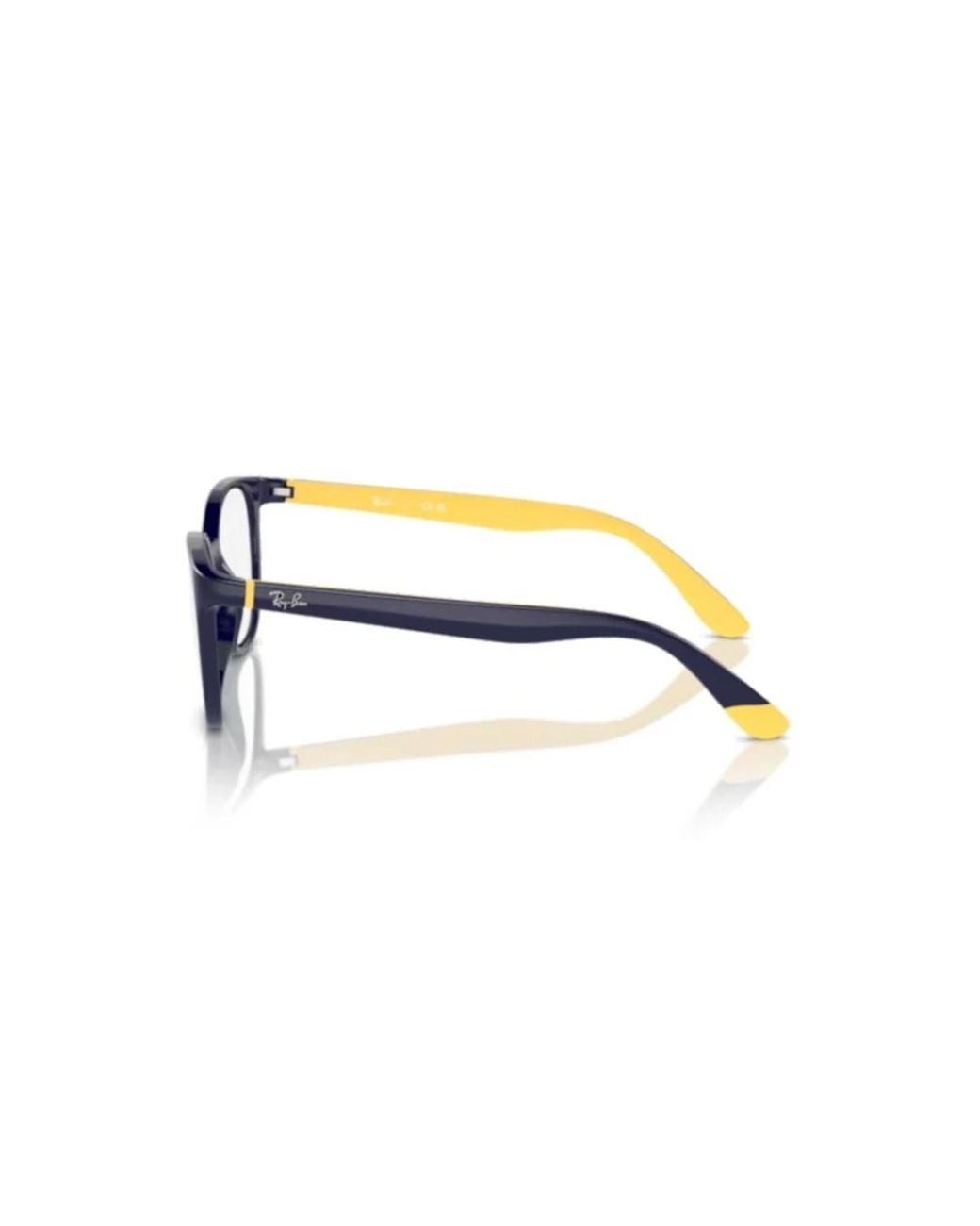 Ray-Ban Black Glasses