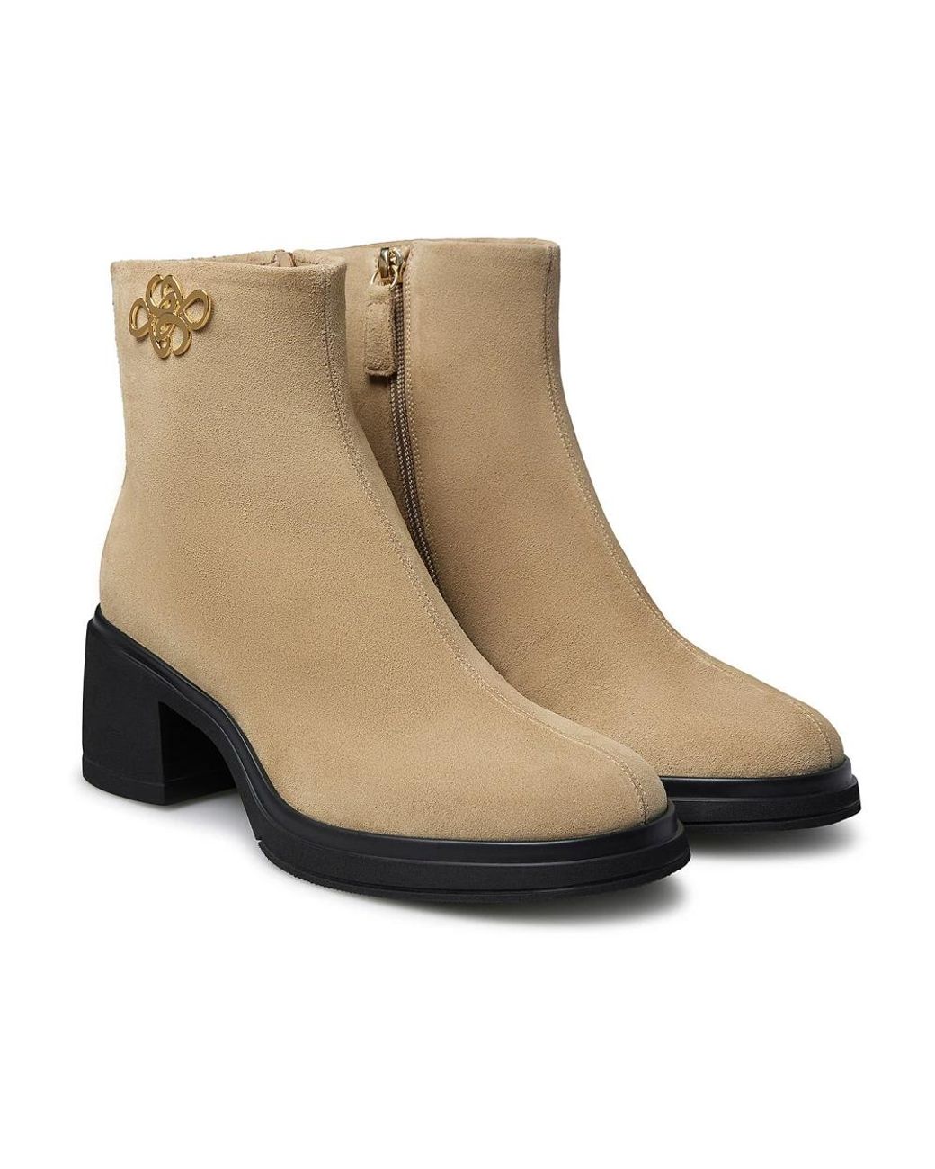 Heeled Boots Loriblu en coloris Brown