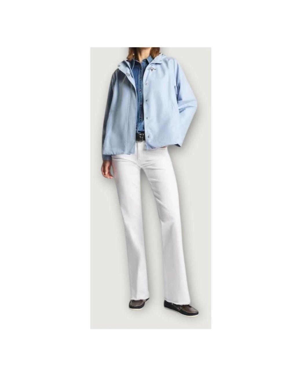 Light Jackets Fay en coloris Blue