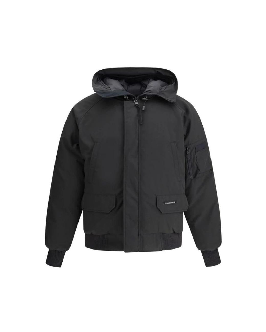 Canada Goose Gray Winter Jackets for men