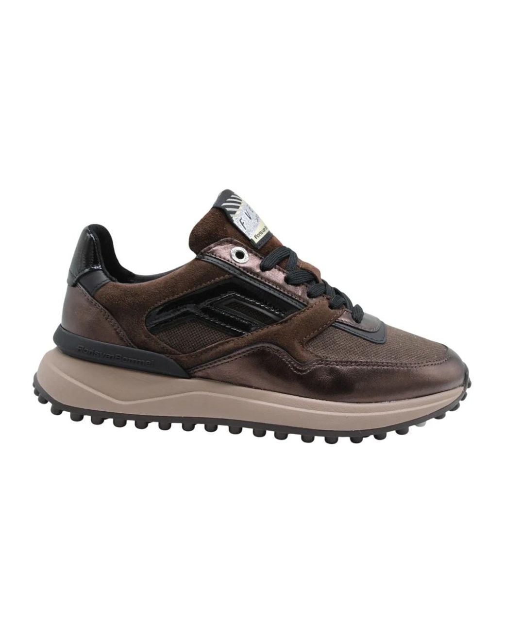 Sneakers Floris Van Bommel en coloris Brown