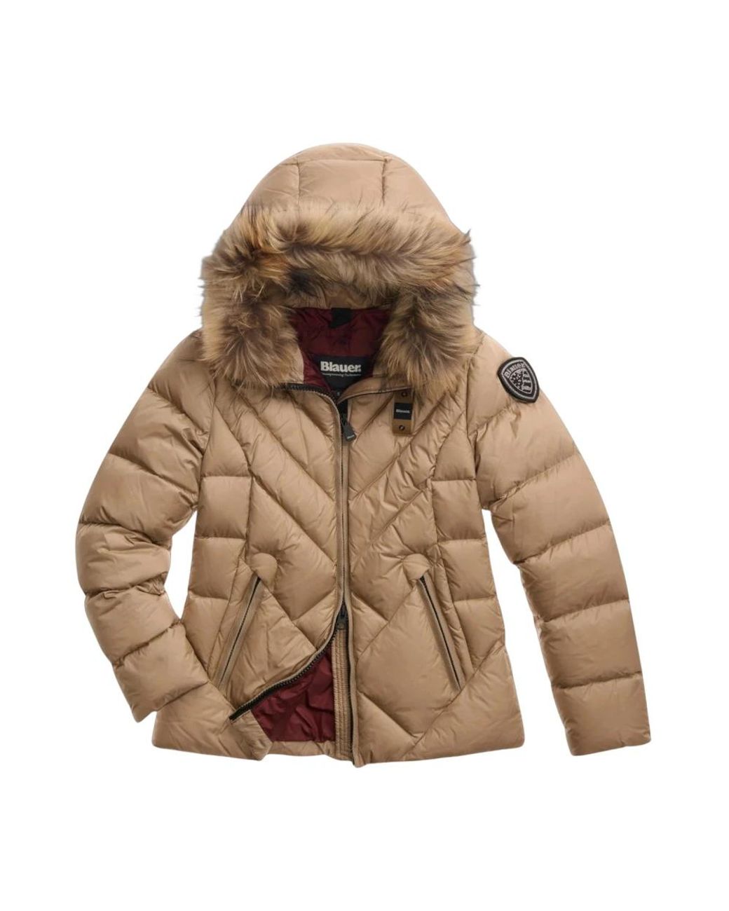 Blauer Alicia Geometric Line Winterjas in het Brown