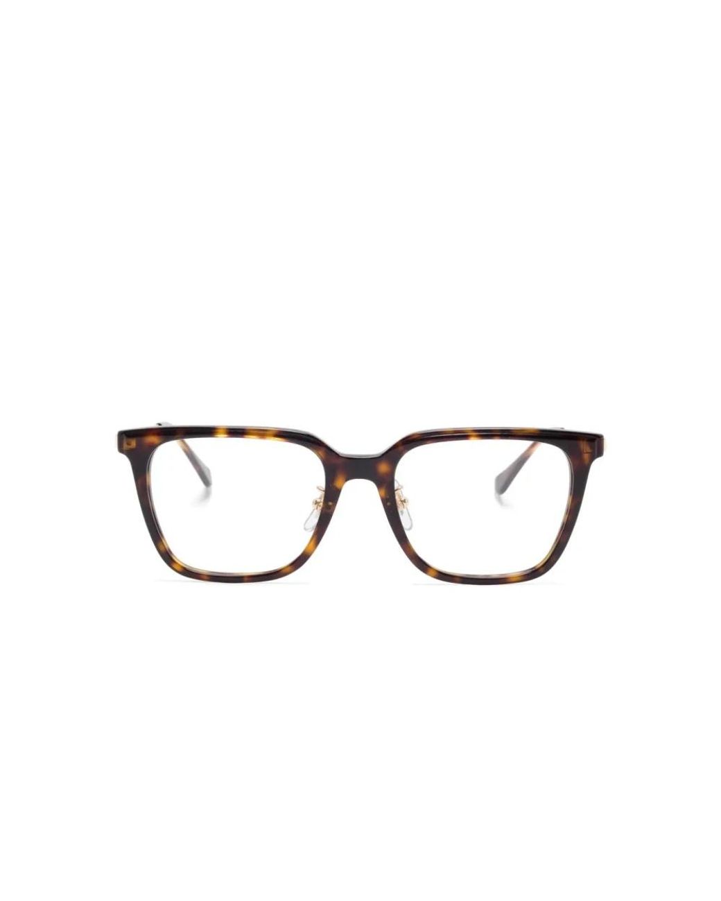 Ray-Ban Brown Glasses
