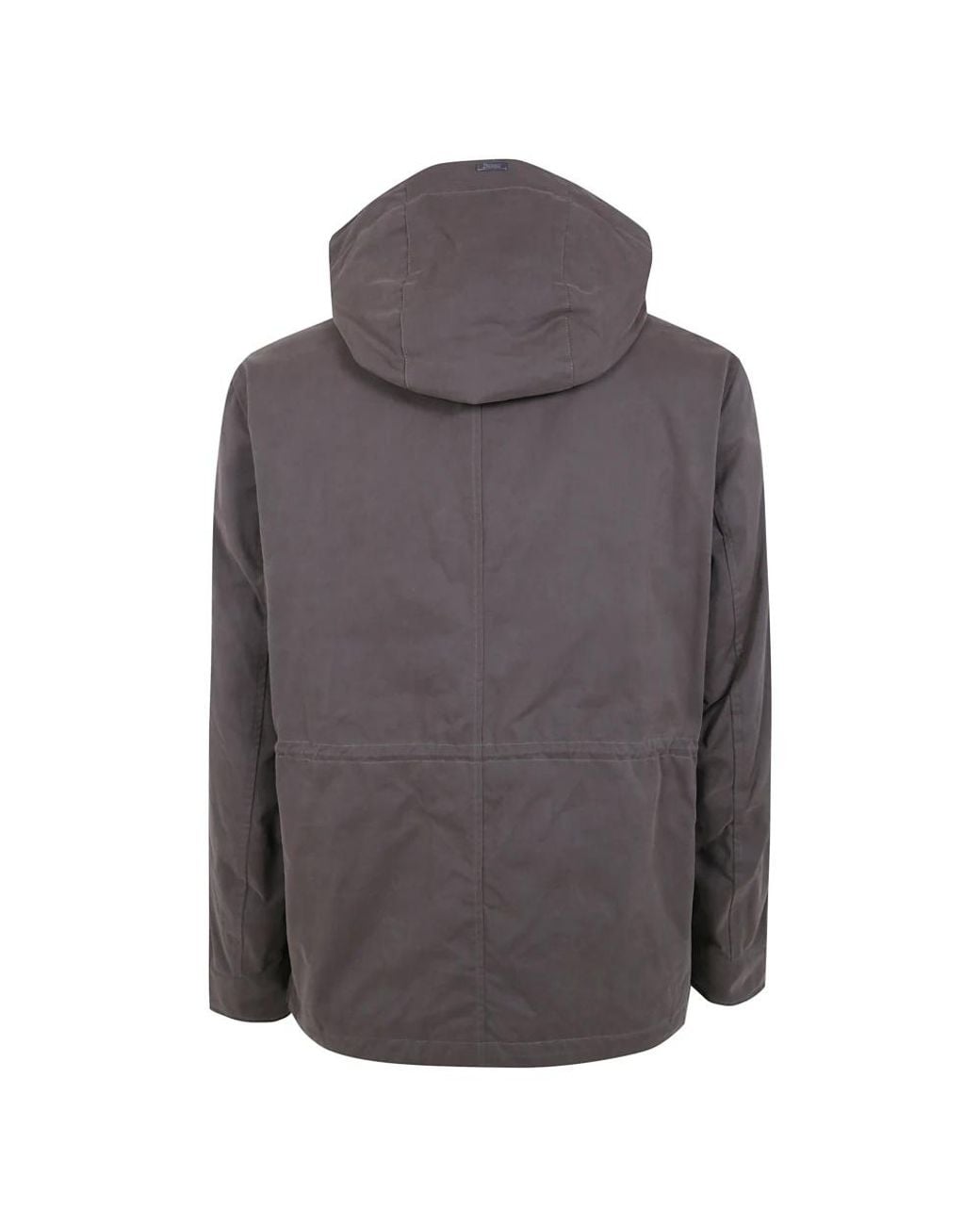 Light Jackets Herno pour homme en coloris Gray