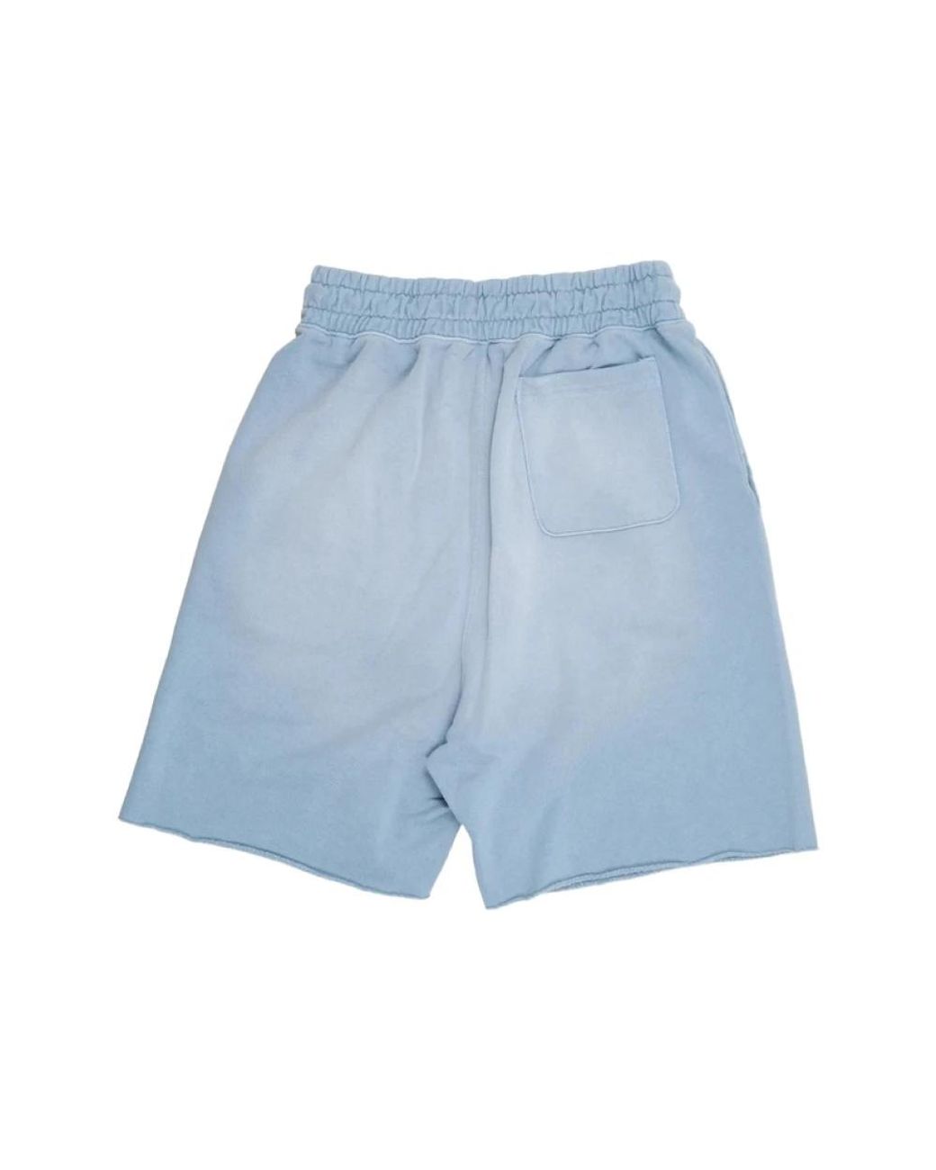 Paly Hollywood Blue Casual Shorts for men