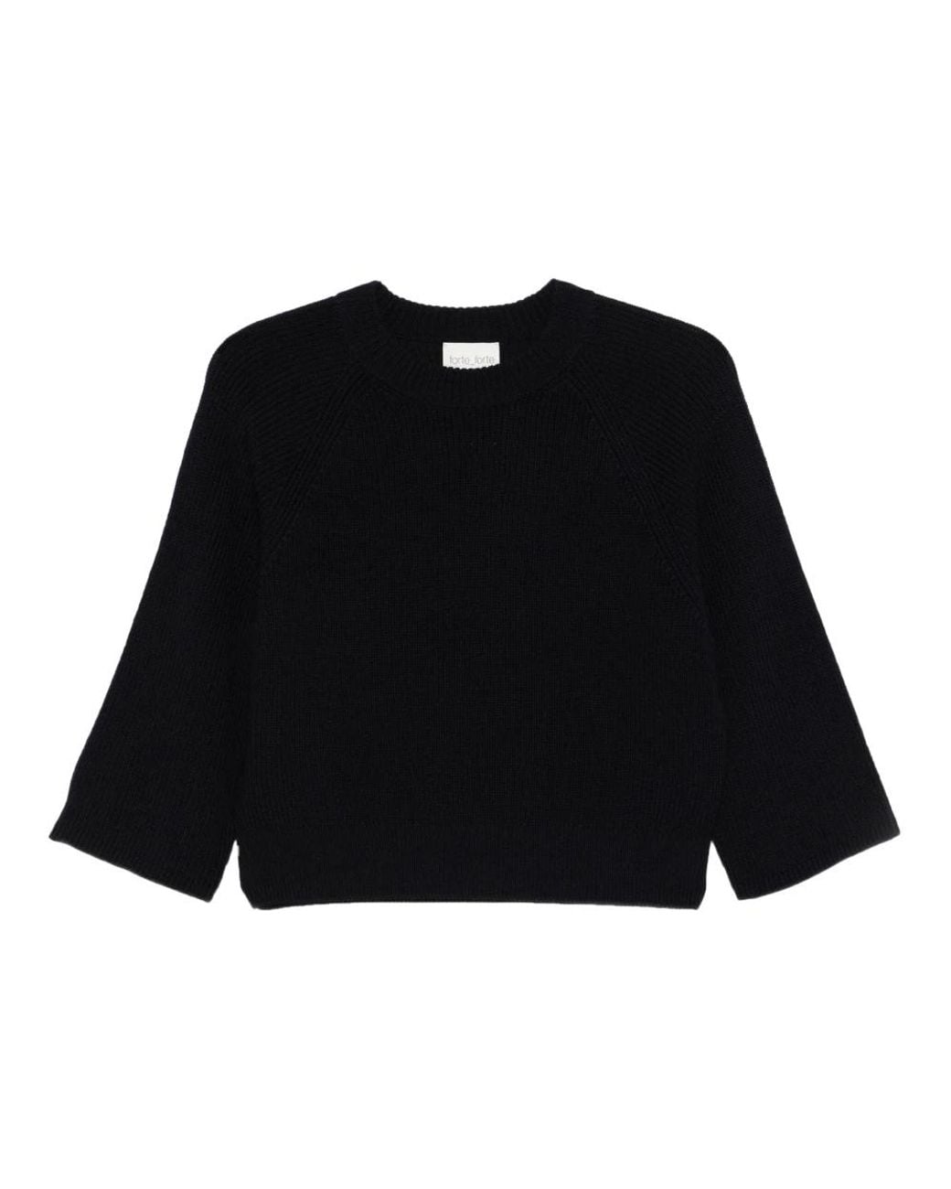 Forte_forte Black Round-Neck Knitwear