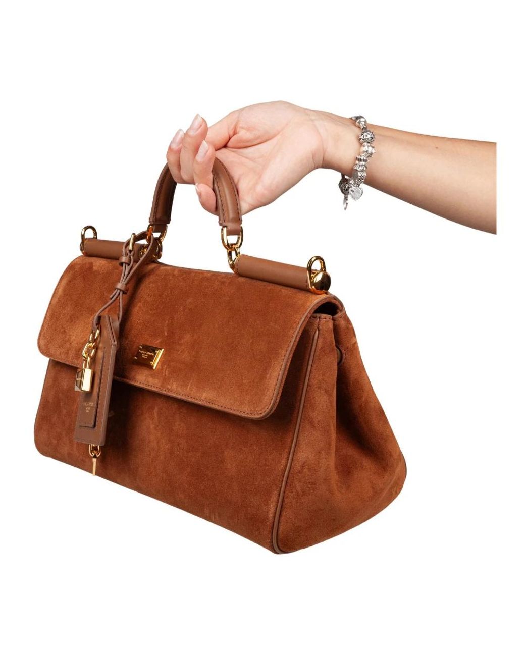 Dolce & Gabbana Brown Handbags
