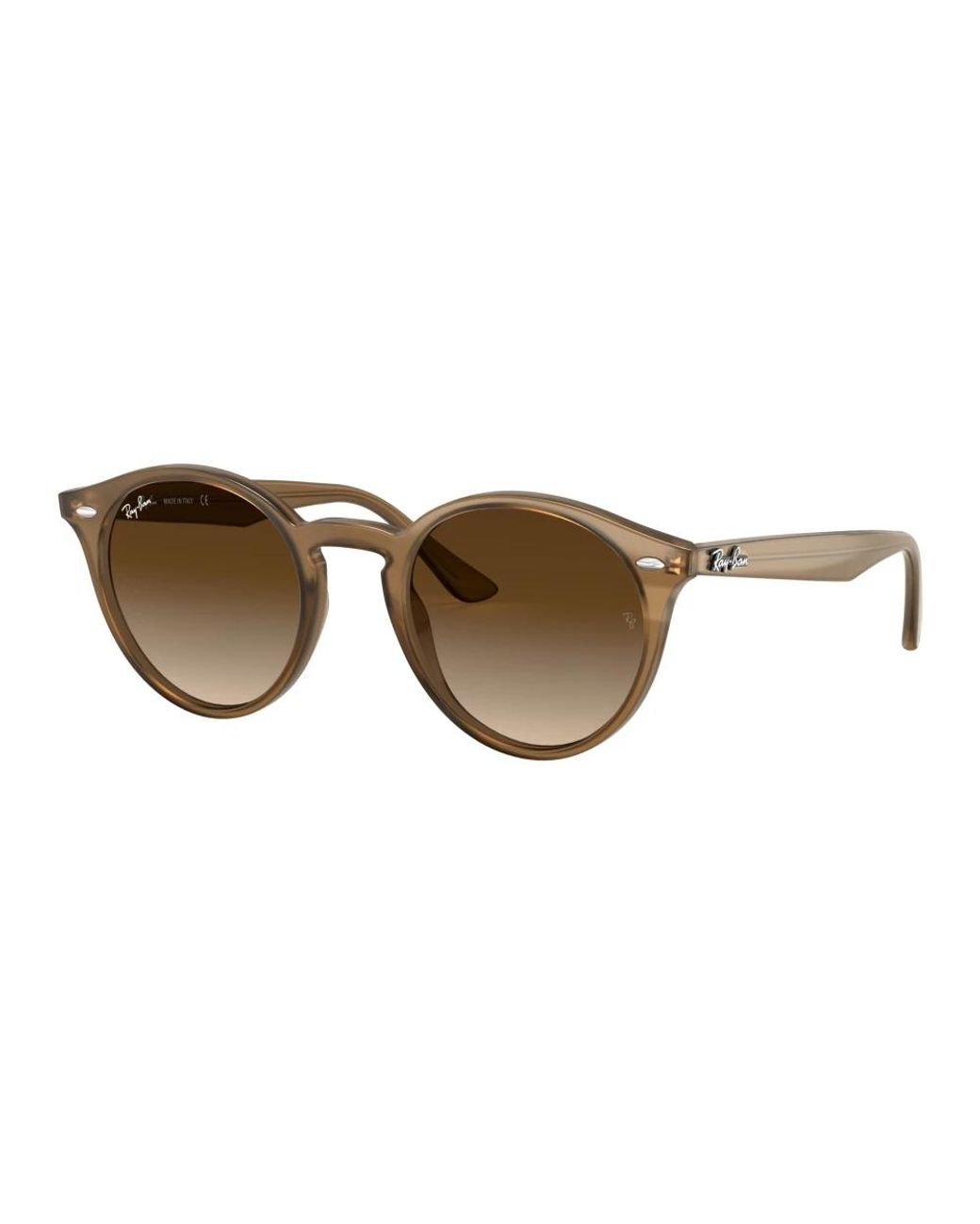 Ray-Ban Brown Sunglasses