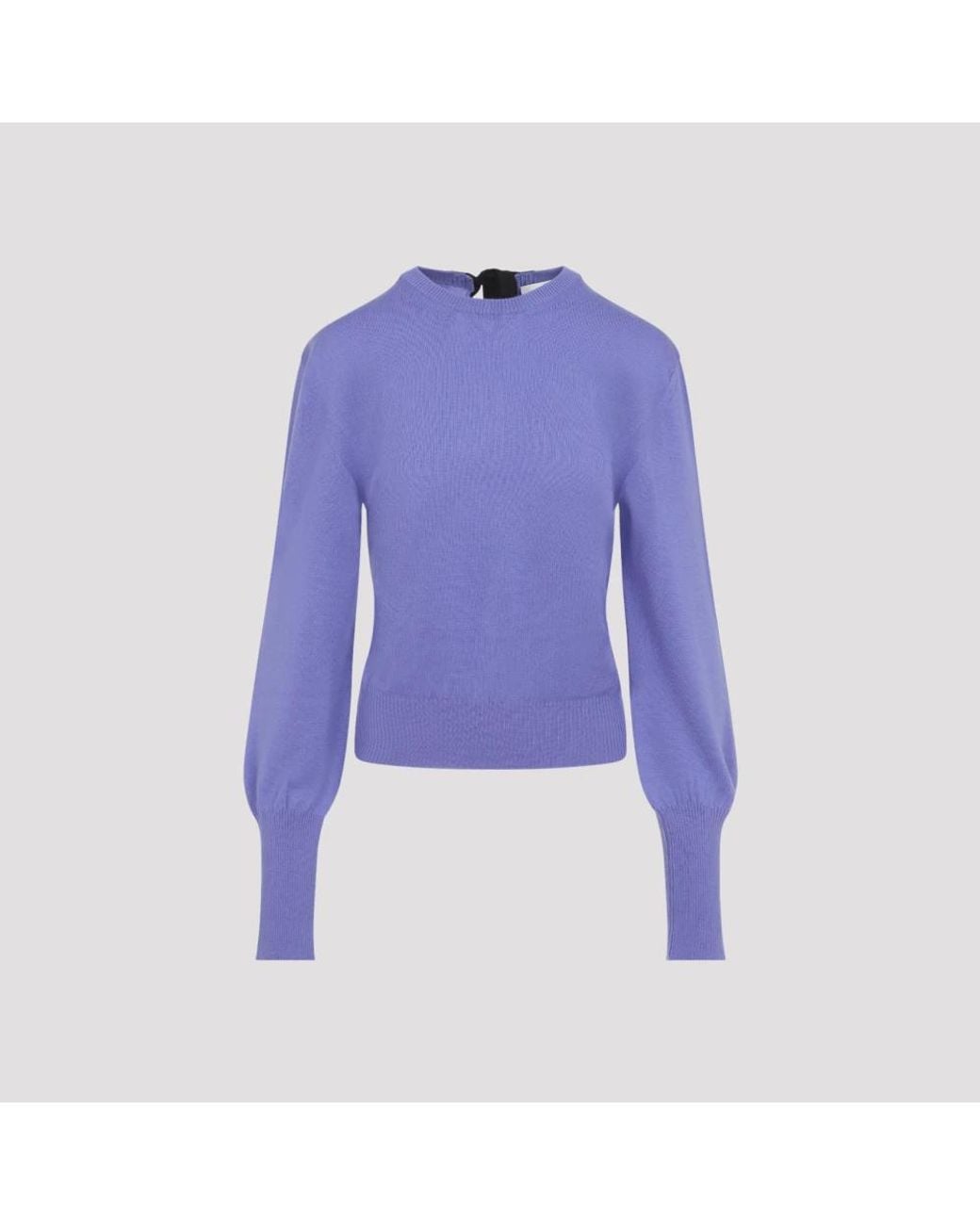 Lanvin Blue Round-Neck Knitwear