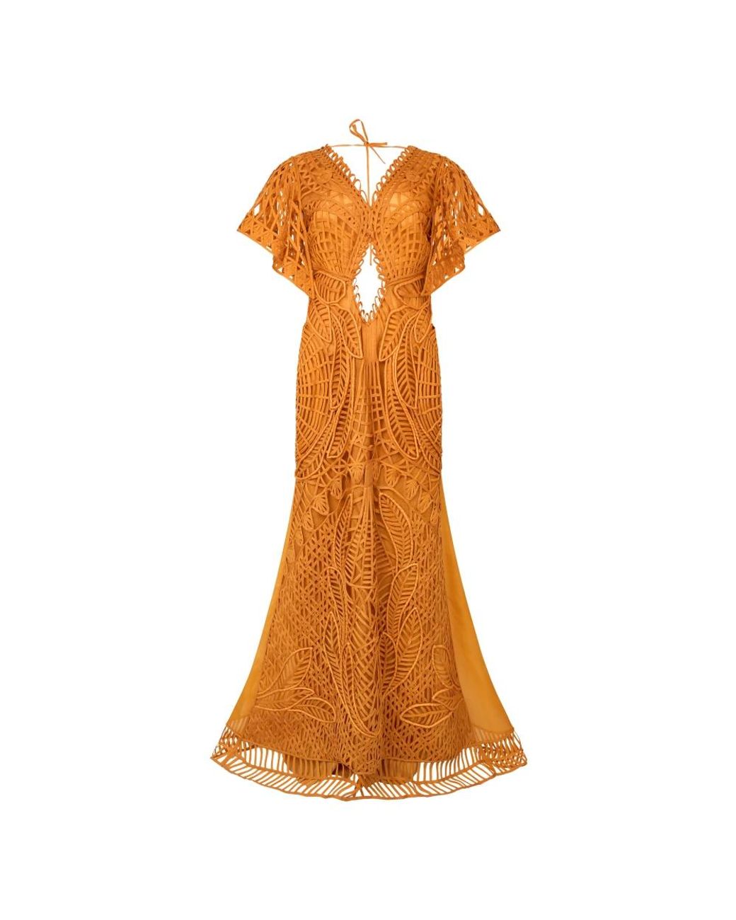 Alberta Ferretti Orange Gowns