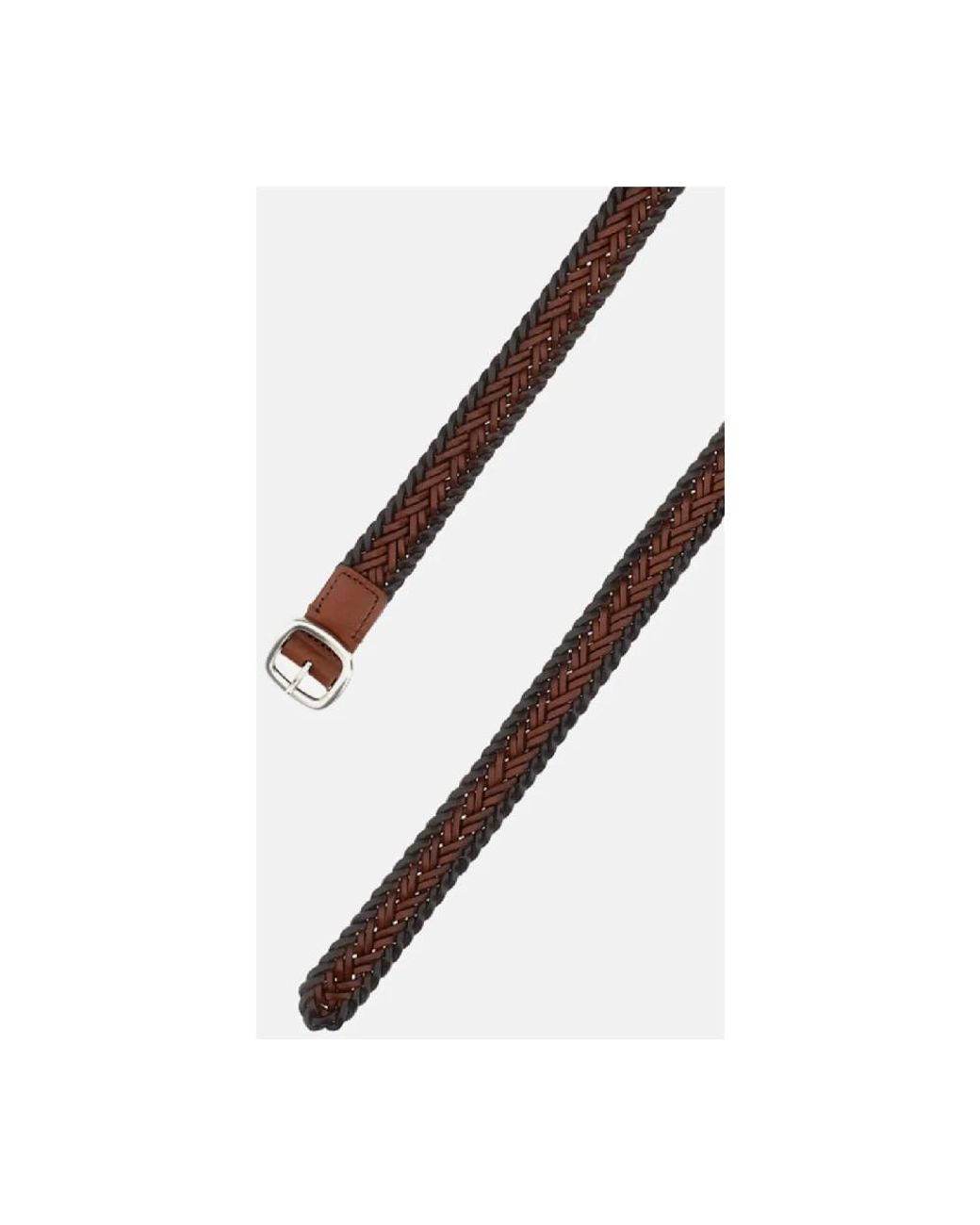 Belts Hereu en coloris Brown